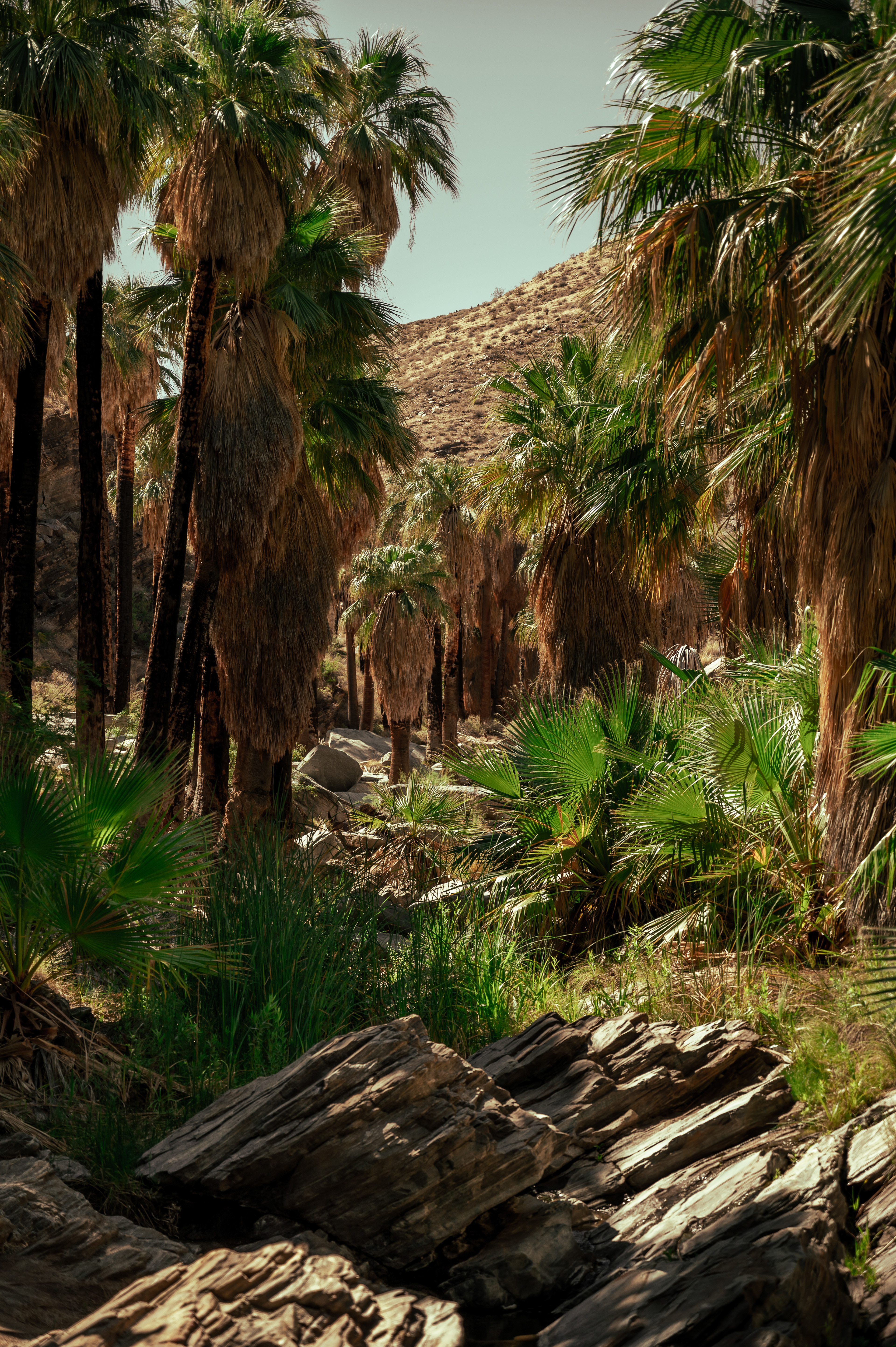 Indian Canyons