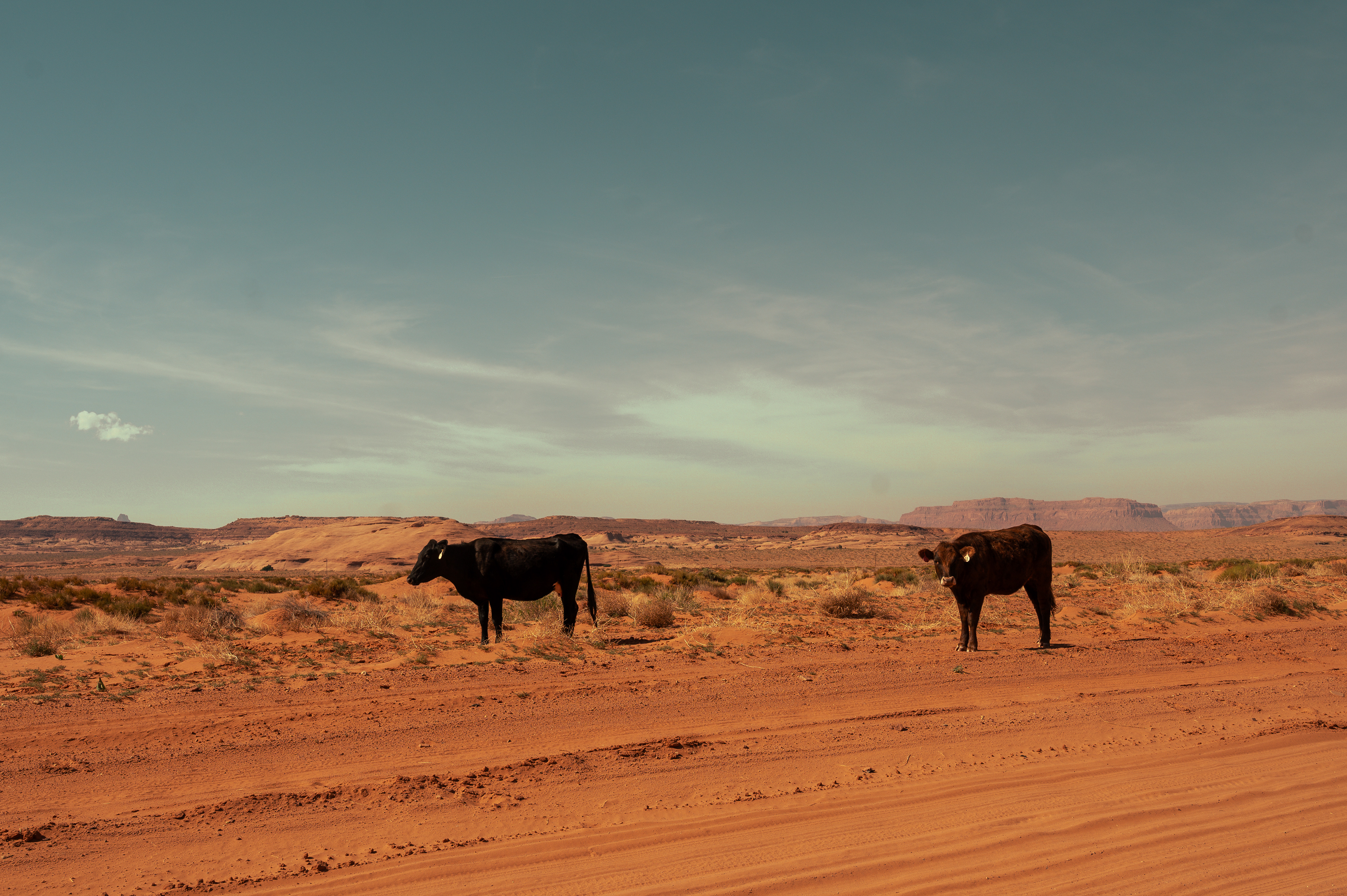 Monument Valley
