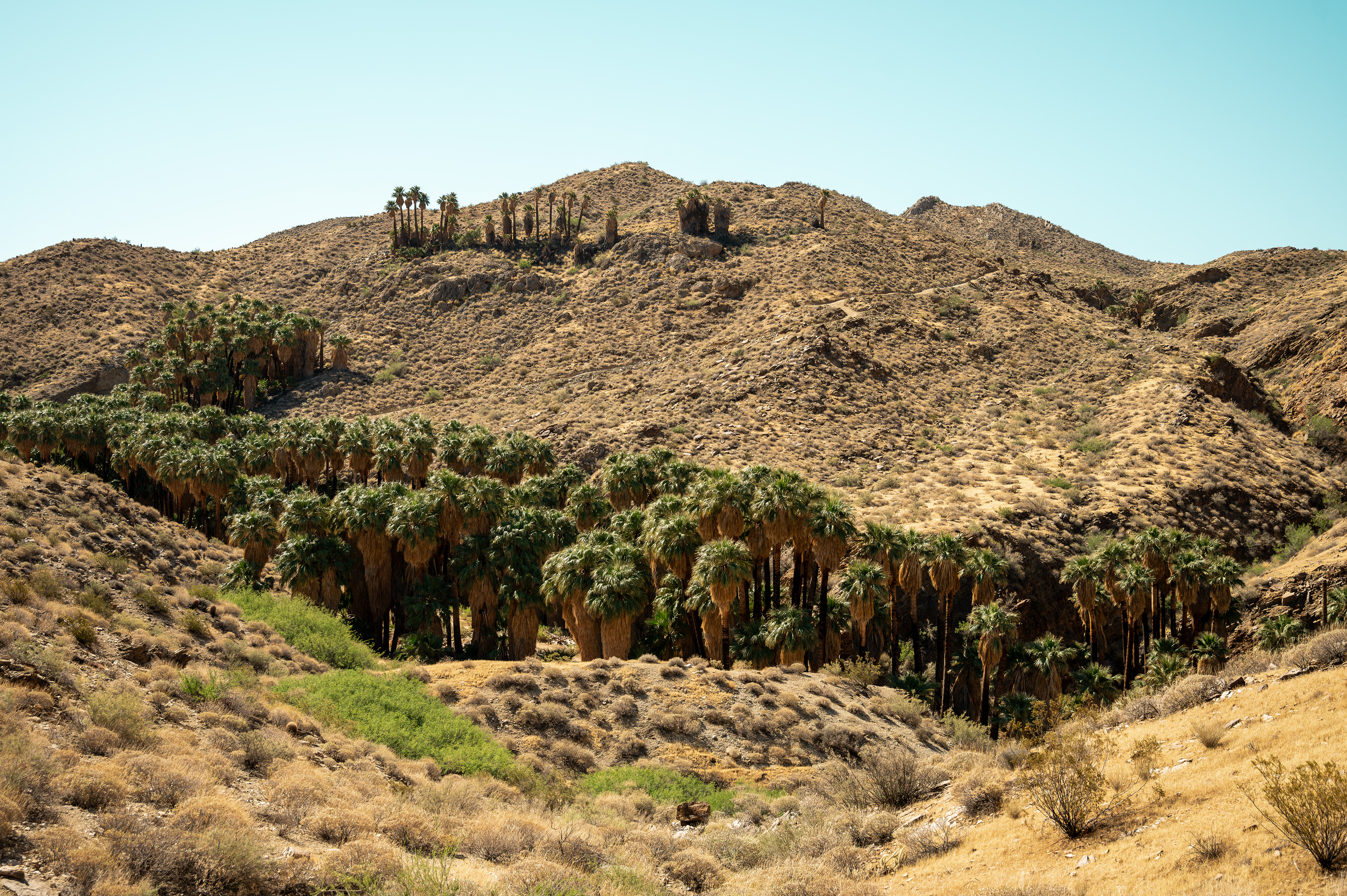 Indian Canyons