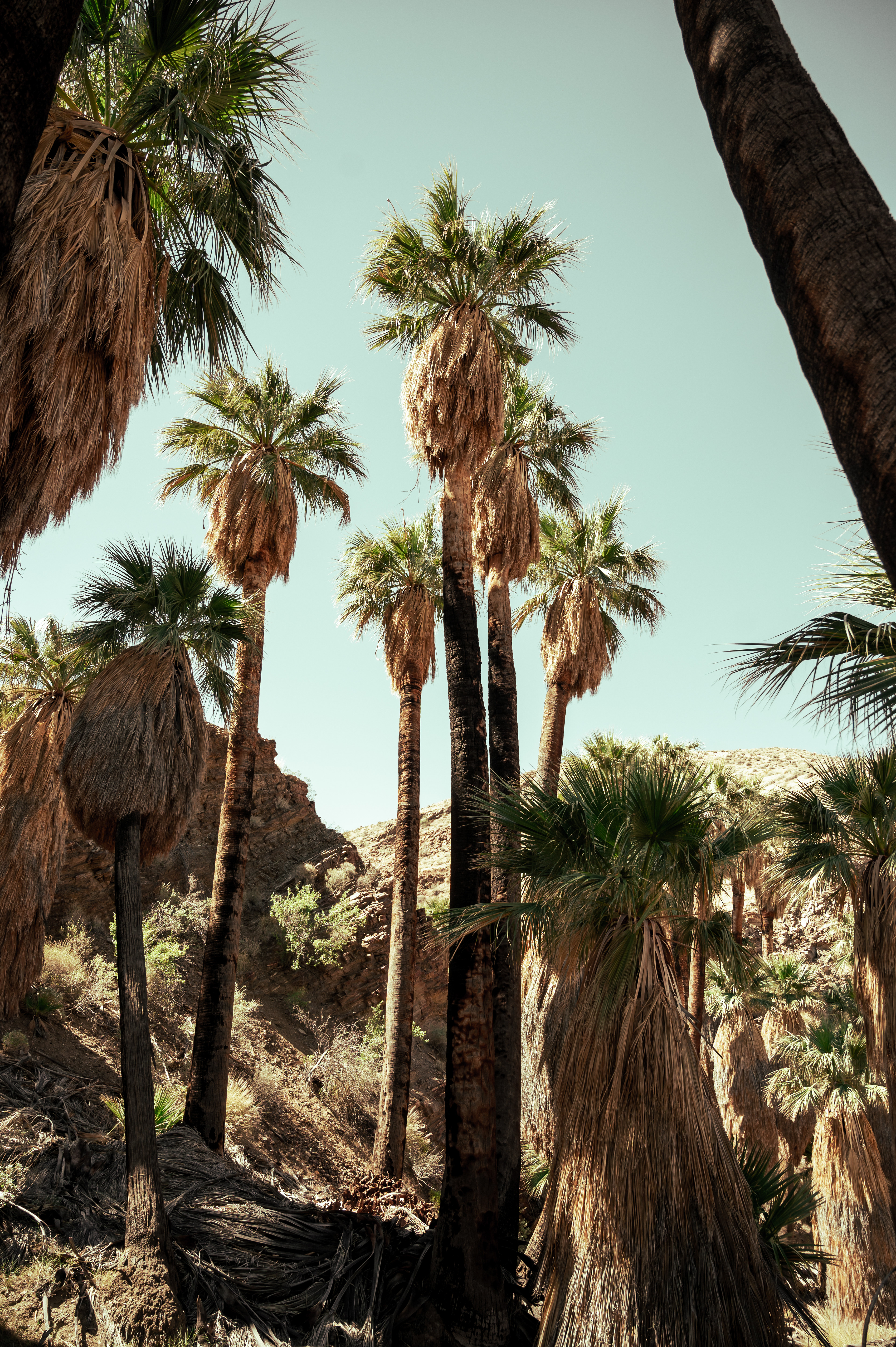 Indian Canyons