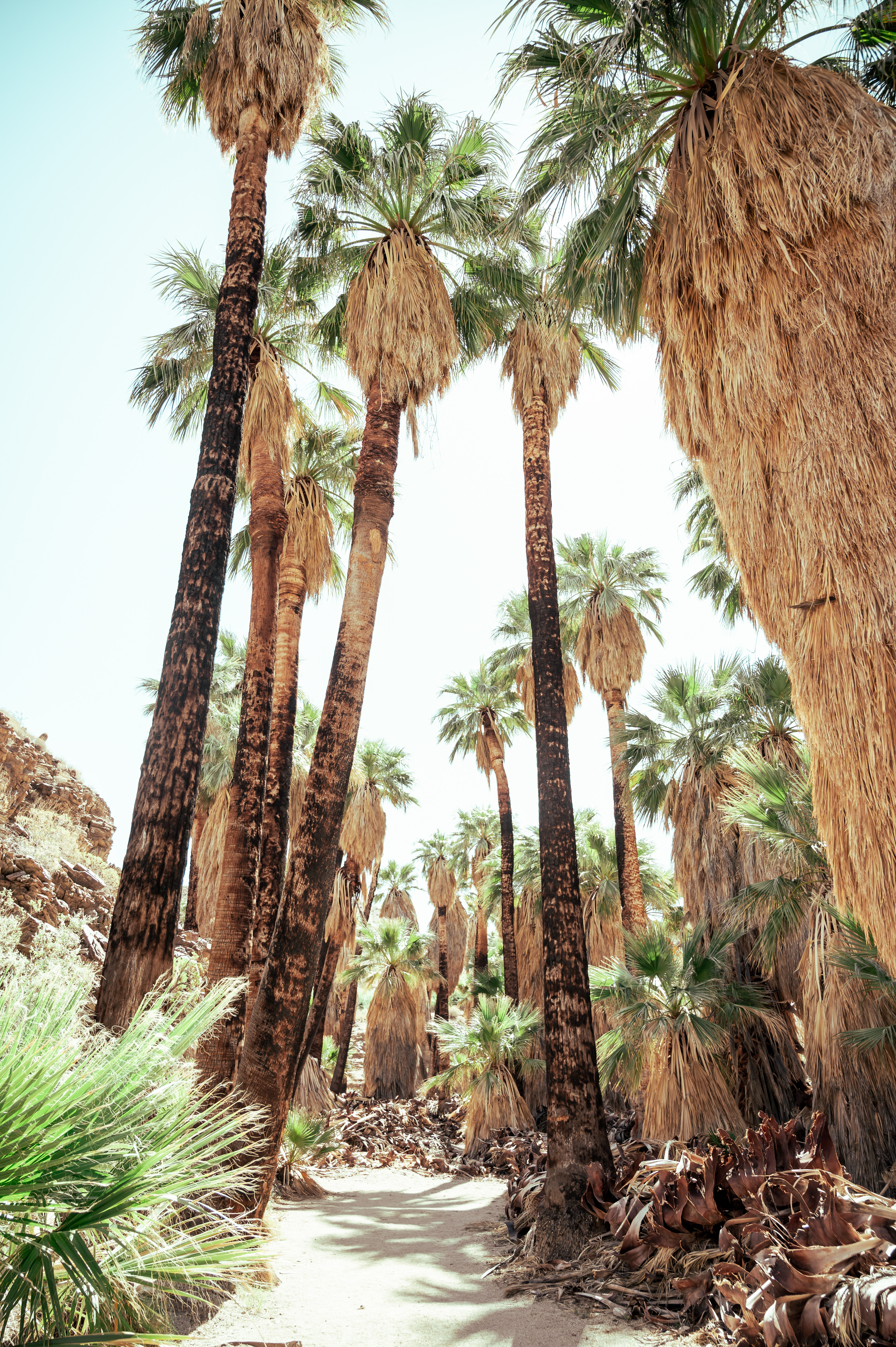 Indian Canyons