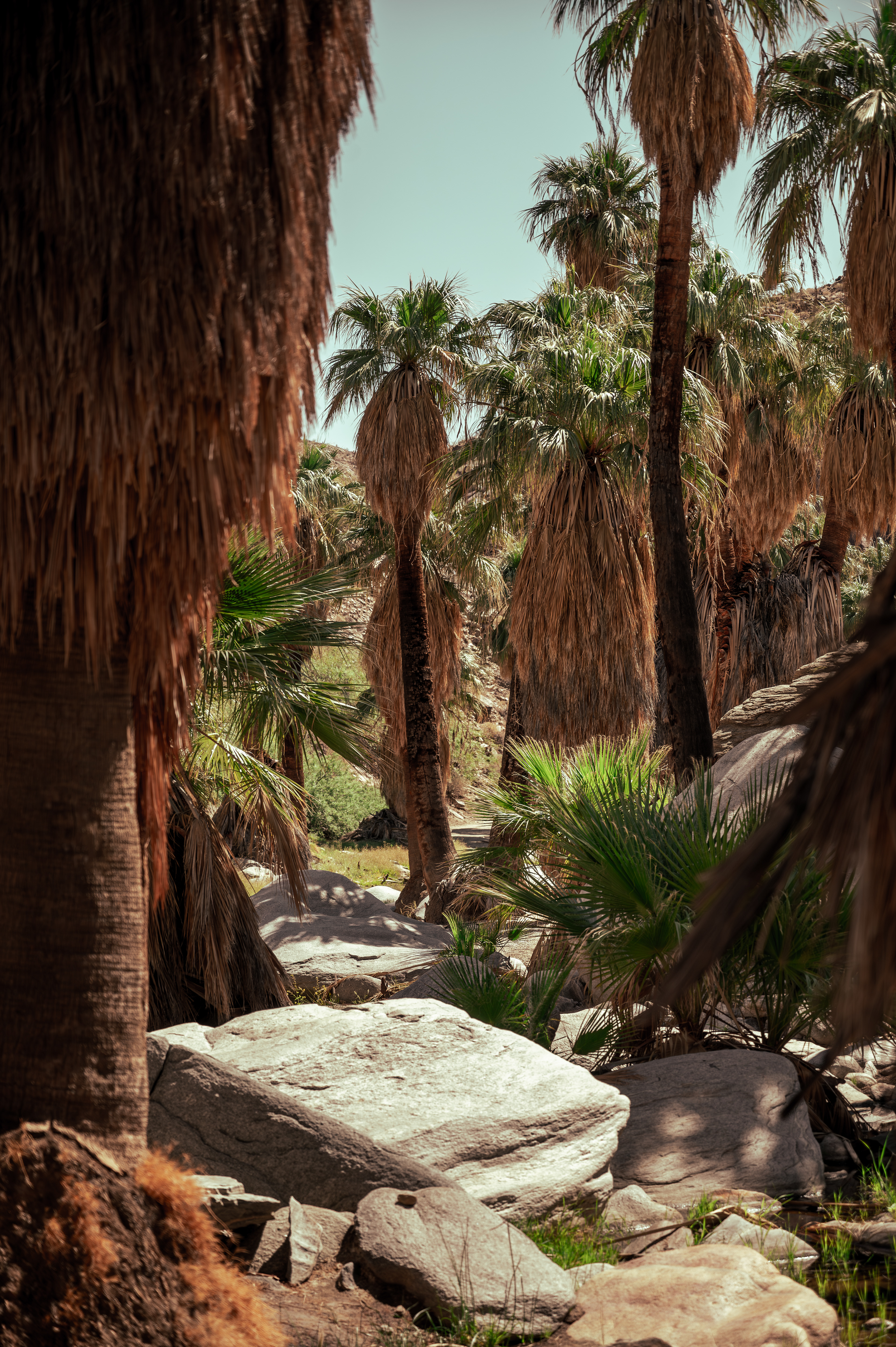 Indian Canyons