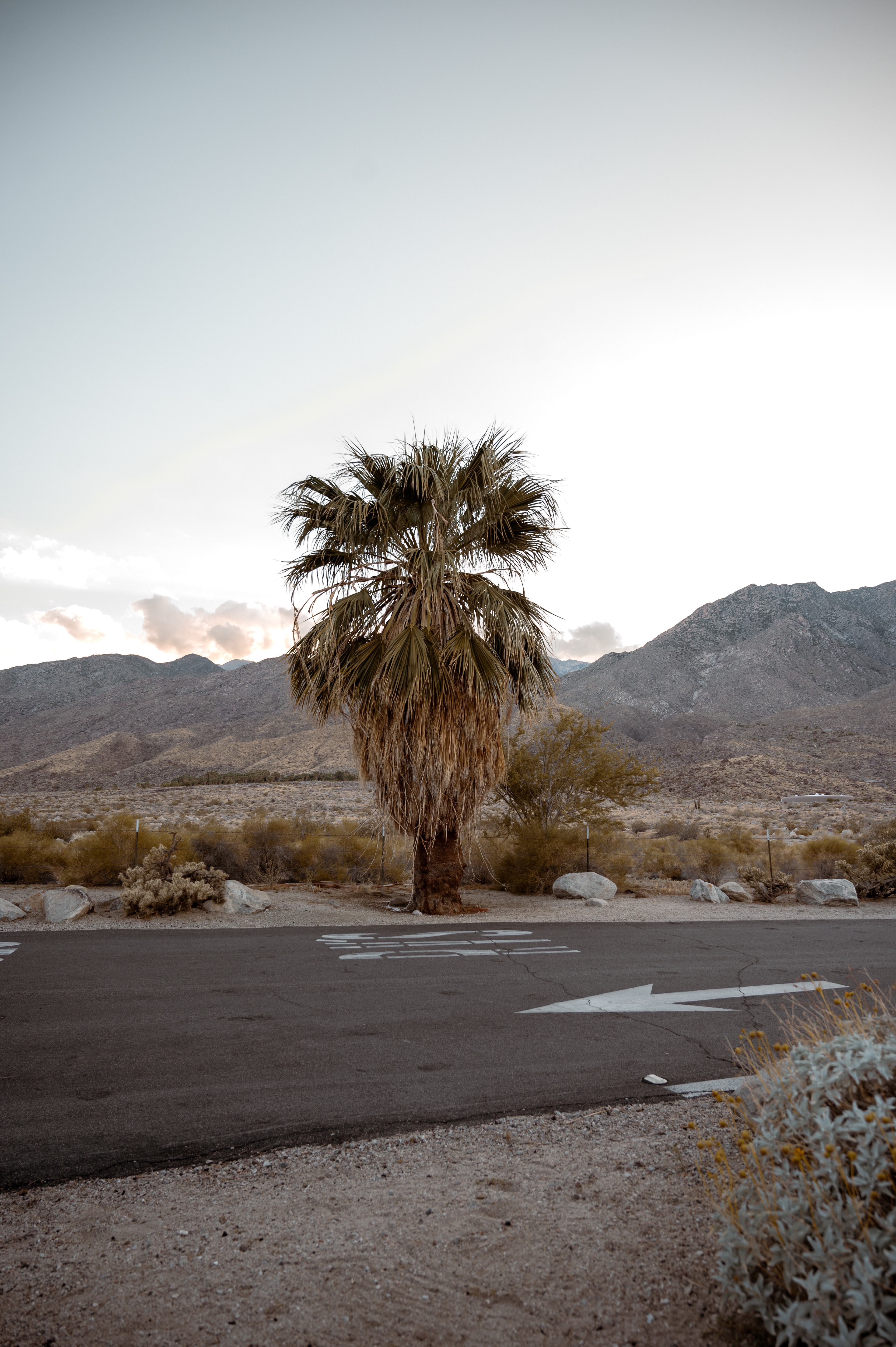 Indian Canyons