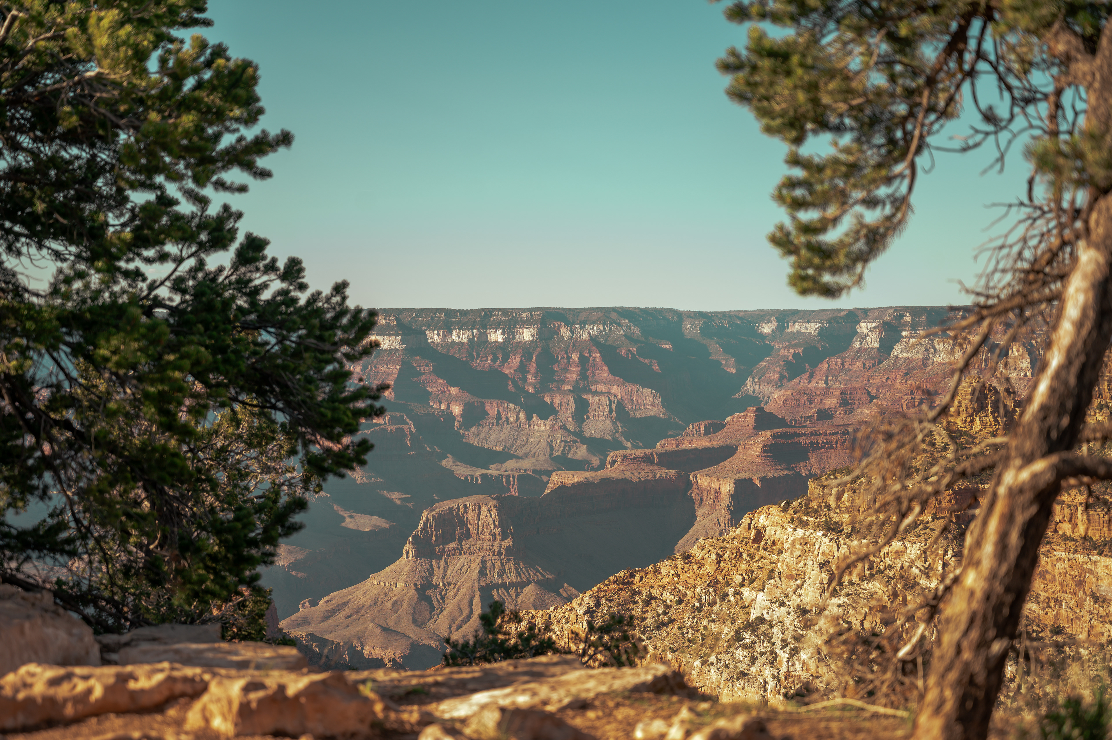 Grand Canyon