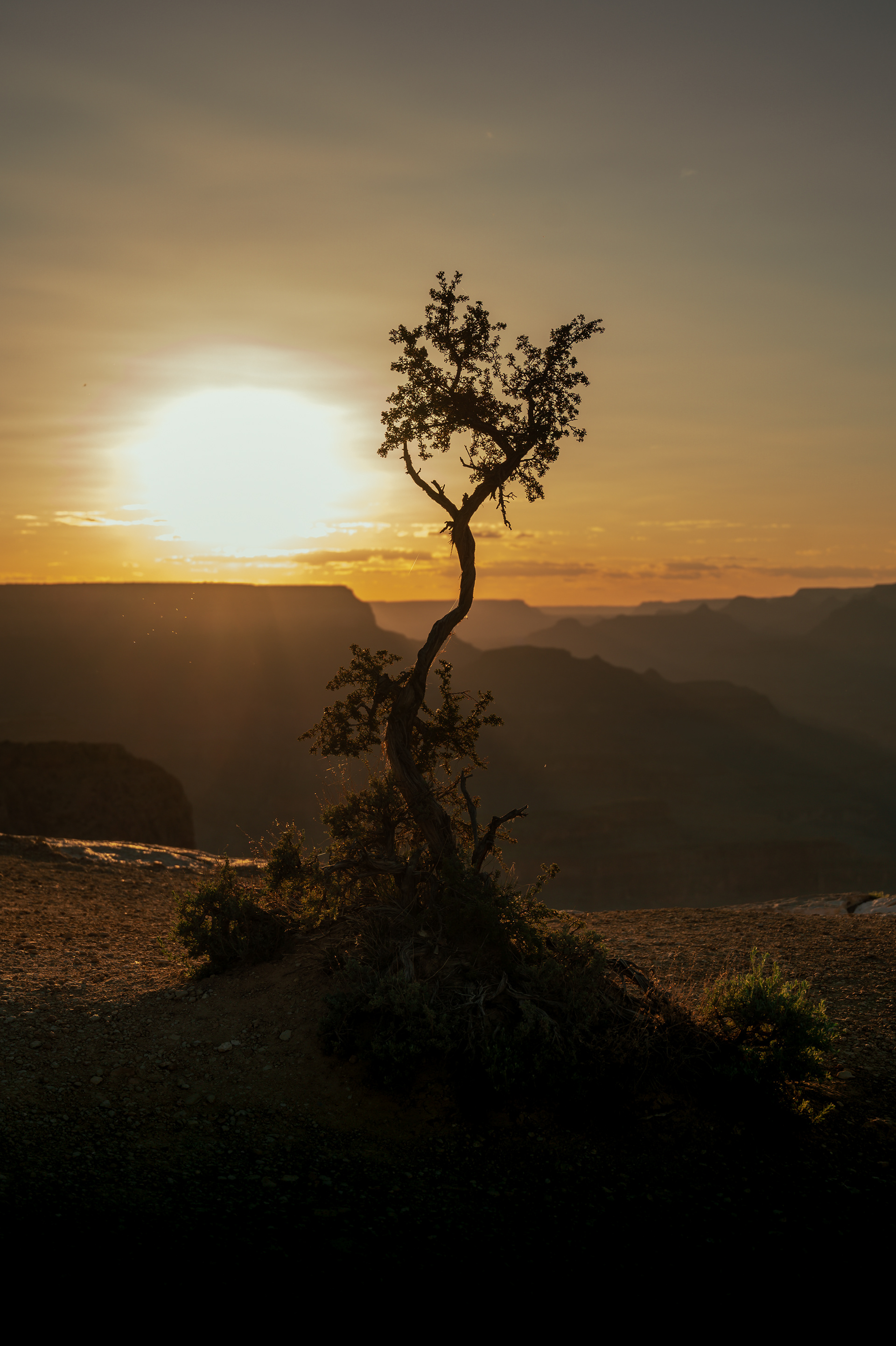 Grand Canyon