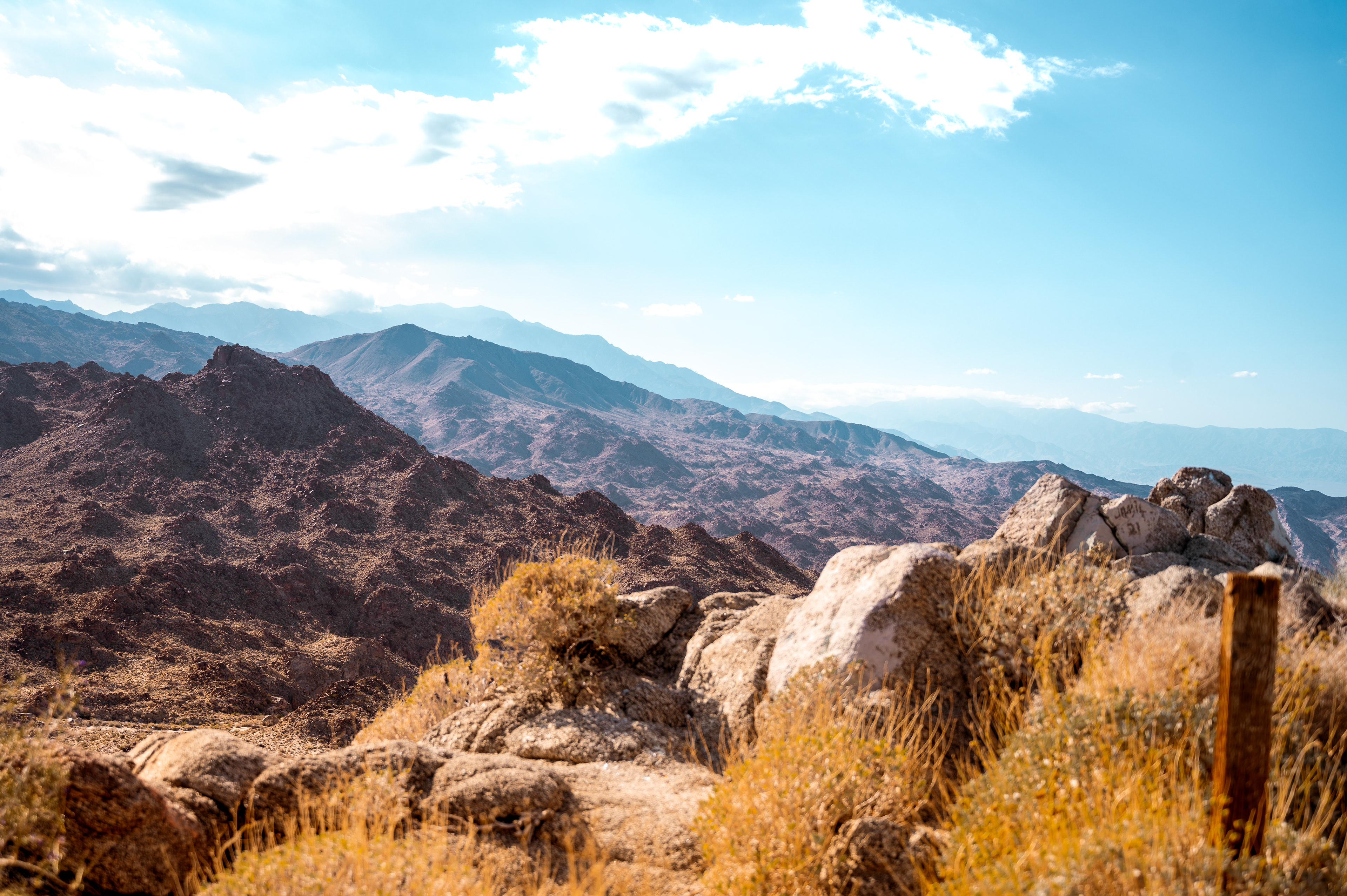 Palm Desert