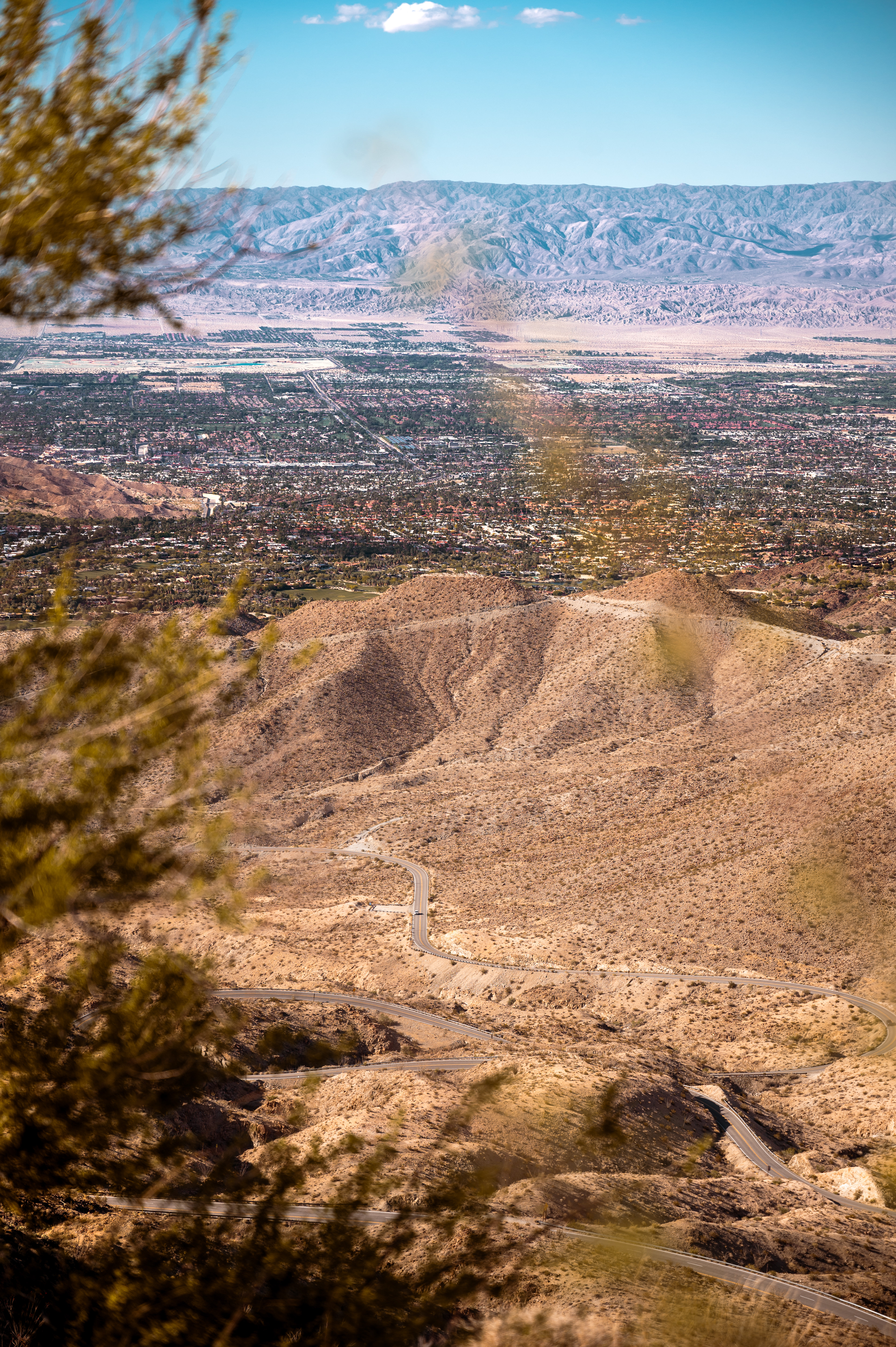 Palm Desert