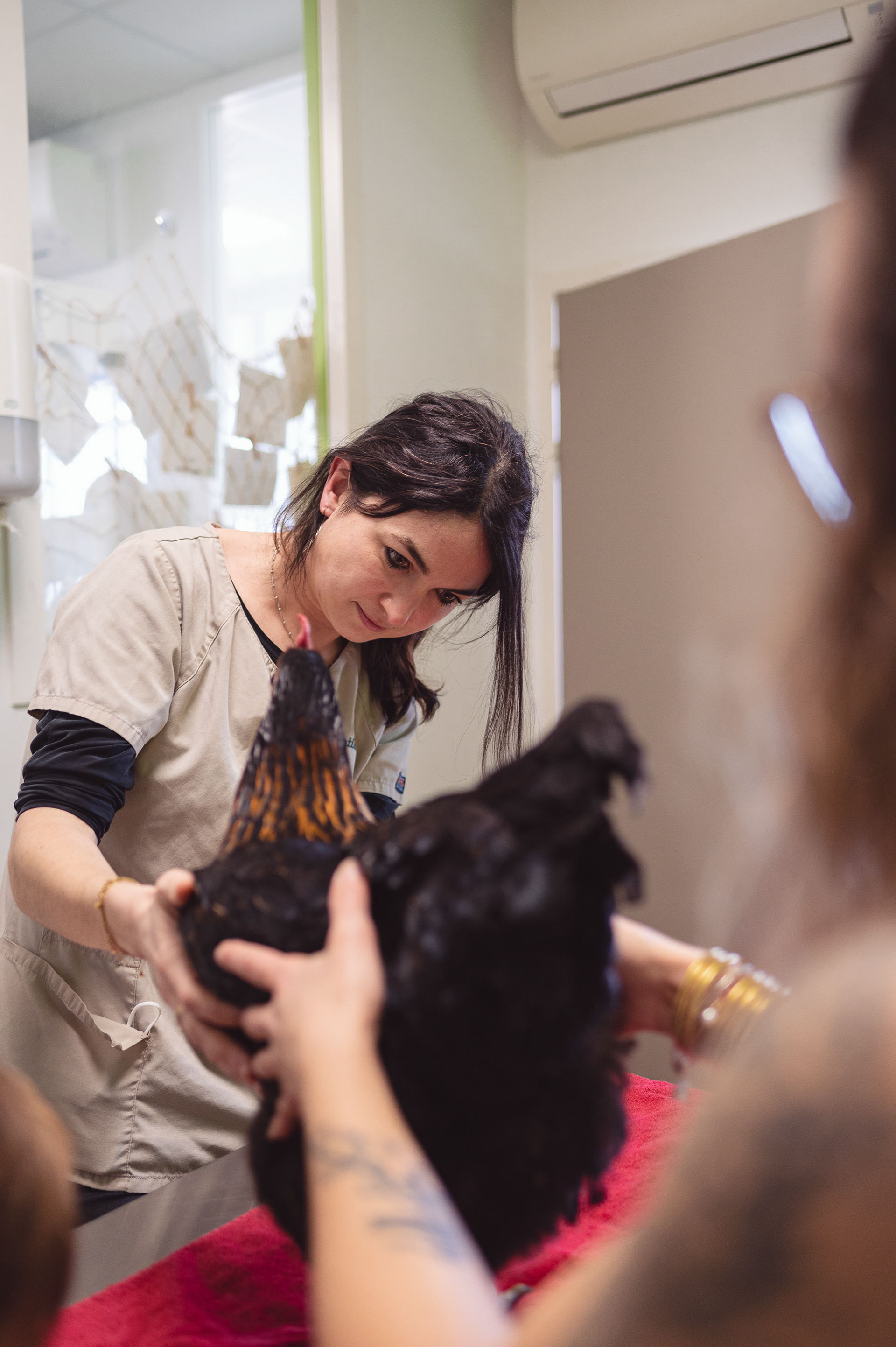 Clinique Vétérinaire Exotica