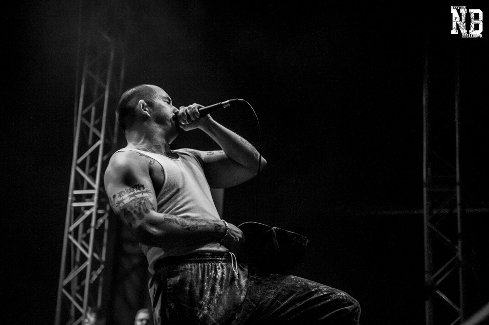 Kublai Khan TX