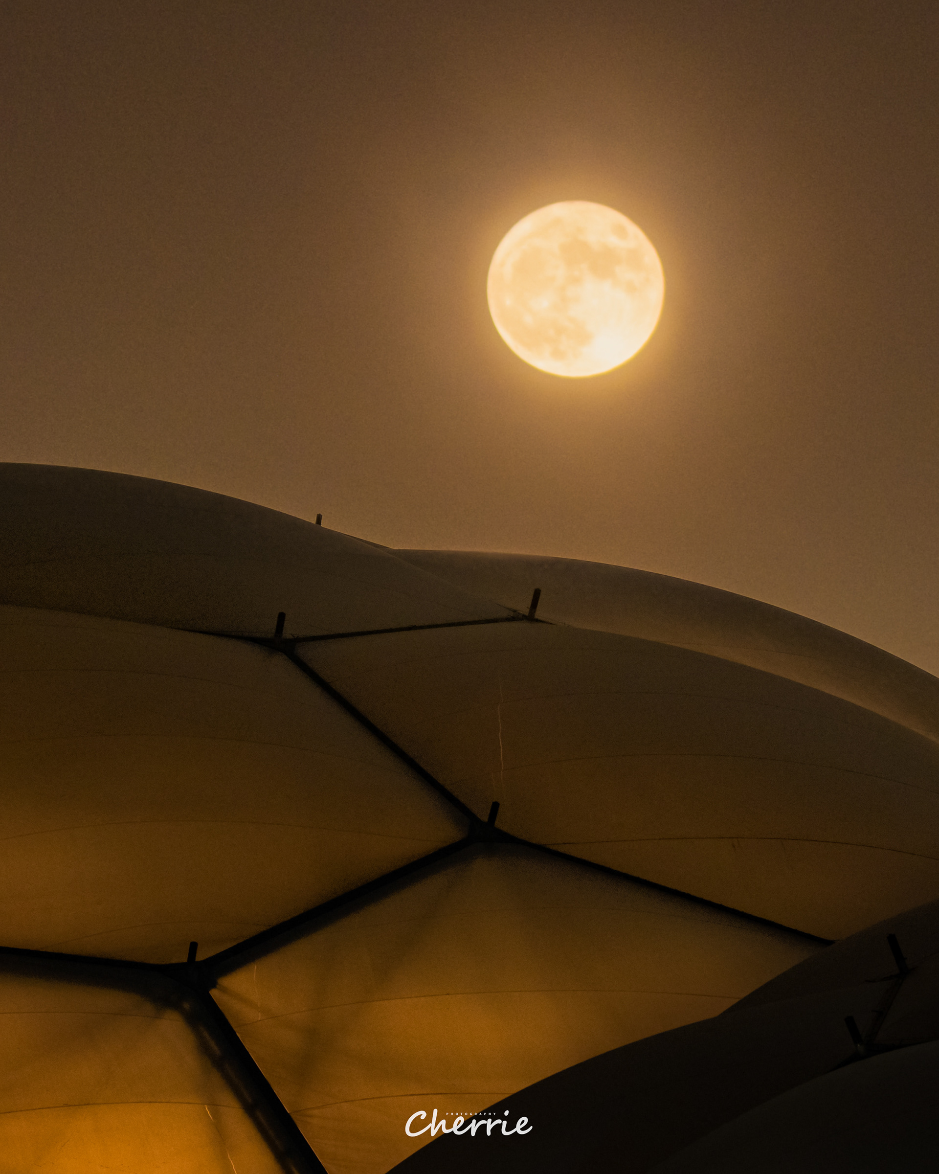 Eden Project Flower Moon Rise