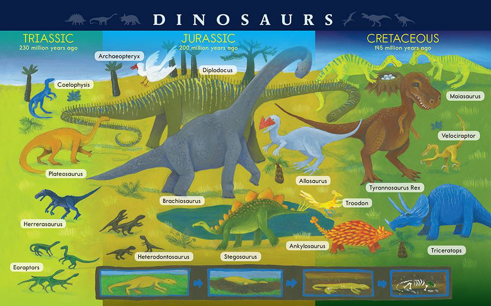 H/14 Dinosaurs and Fossils 