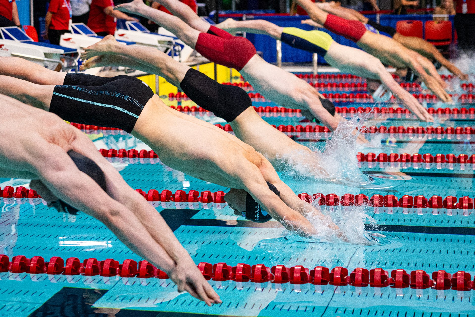 Essais canadiens de natation, 2026. 