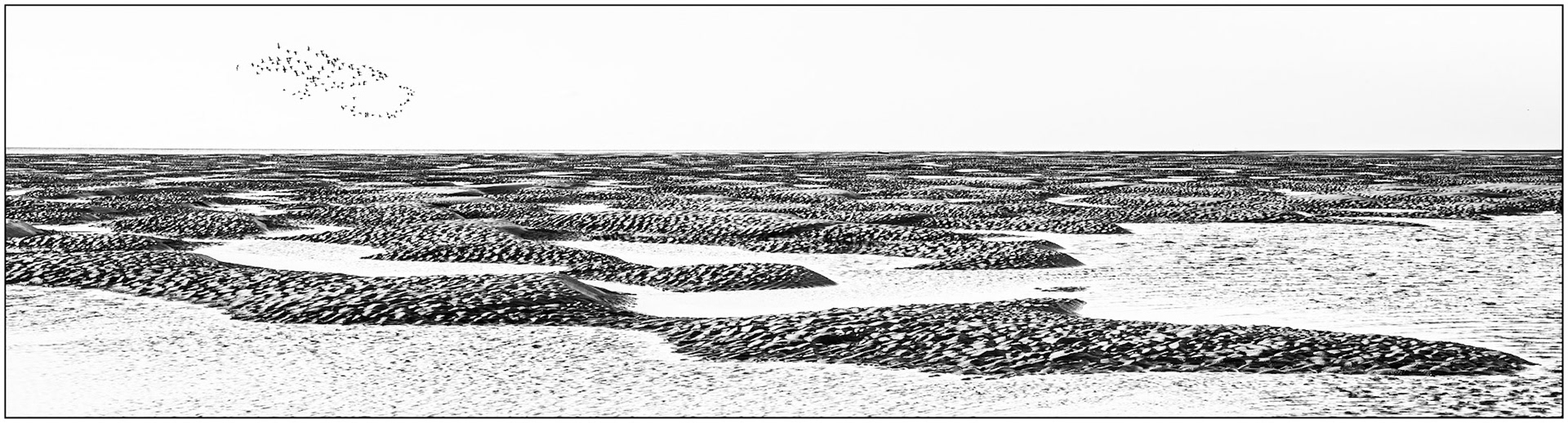Low Tide (20-02-23, 10)