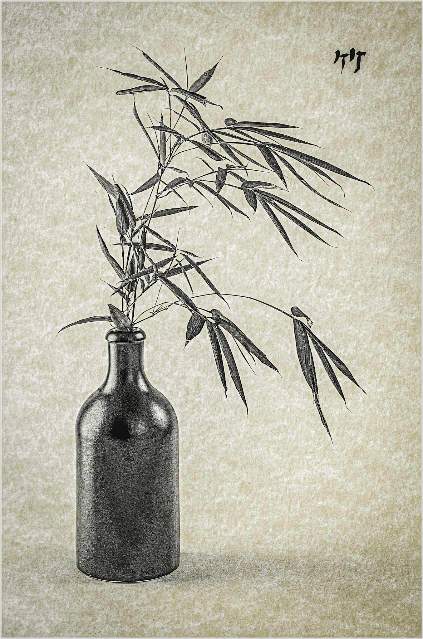 Bamboo (Colour Print, Accepted)