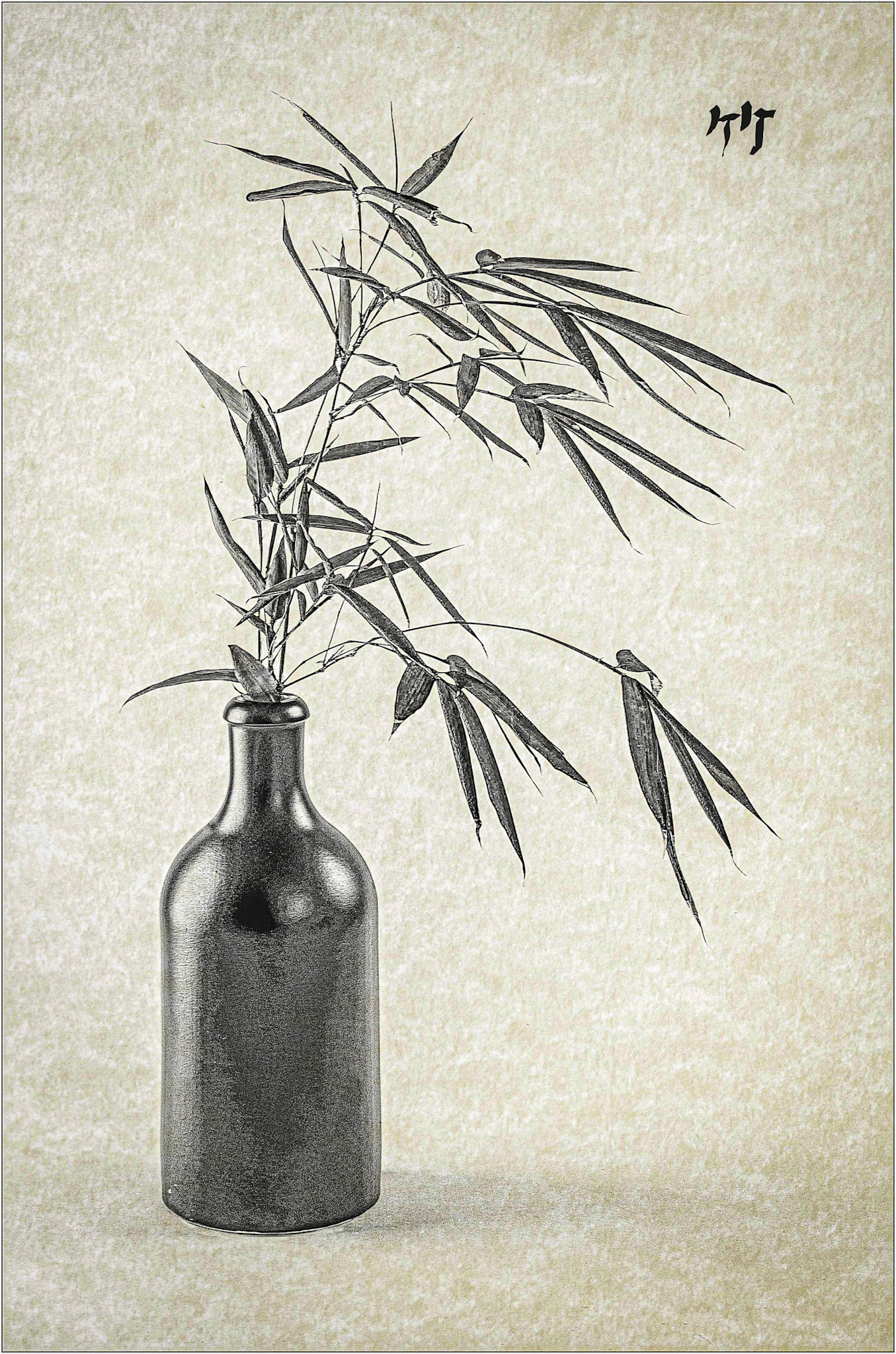 Bamboo (Print, Highly Commended)