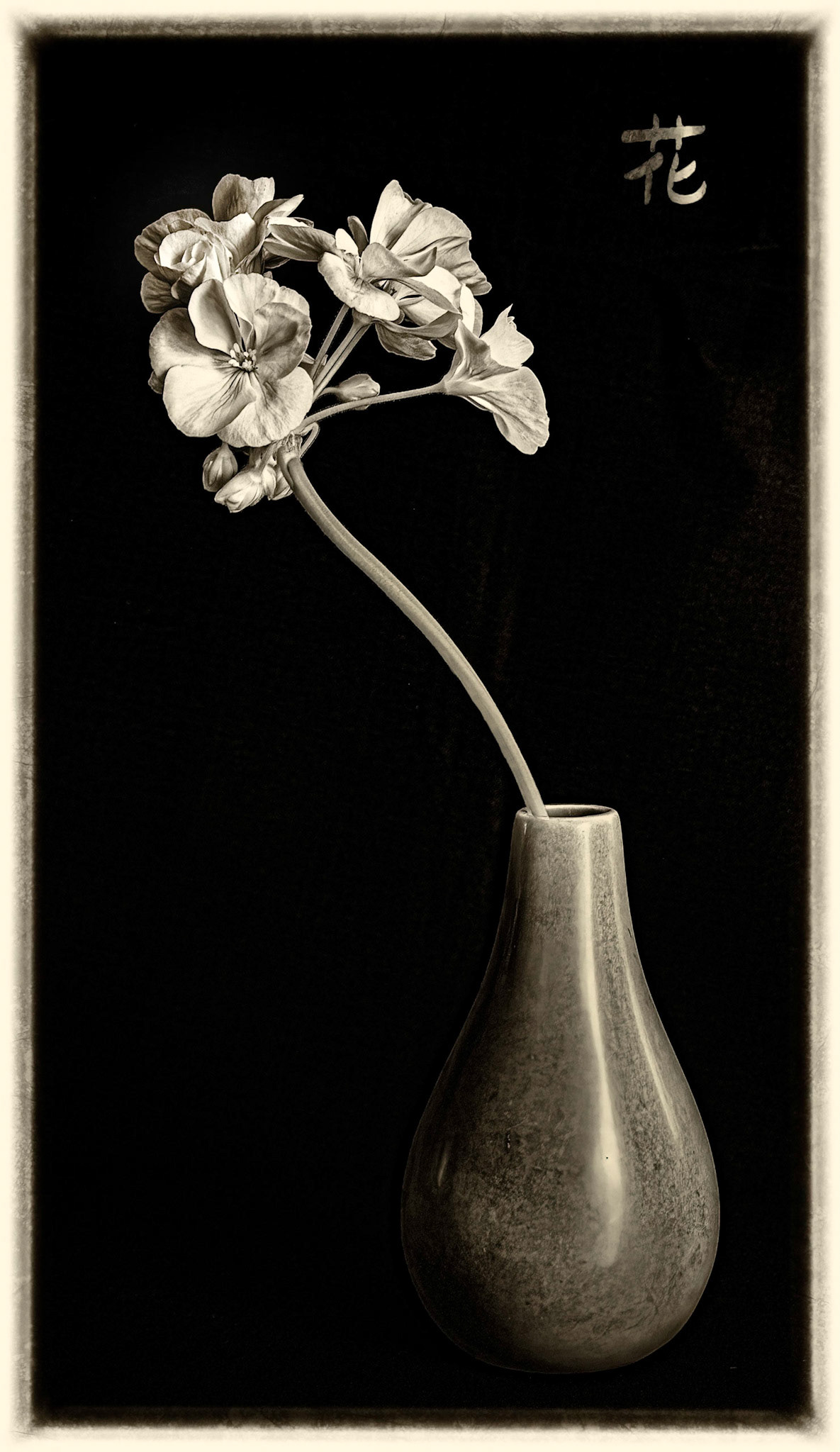 Still Life With Pelargonium and Vase (19-09-22, 10)