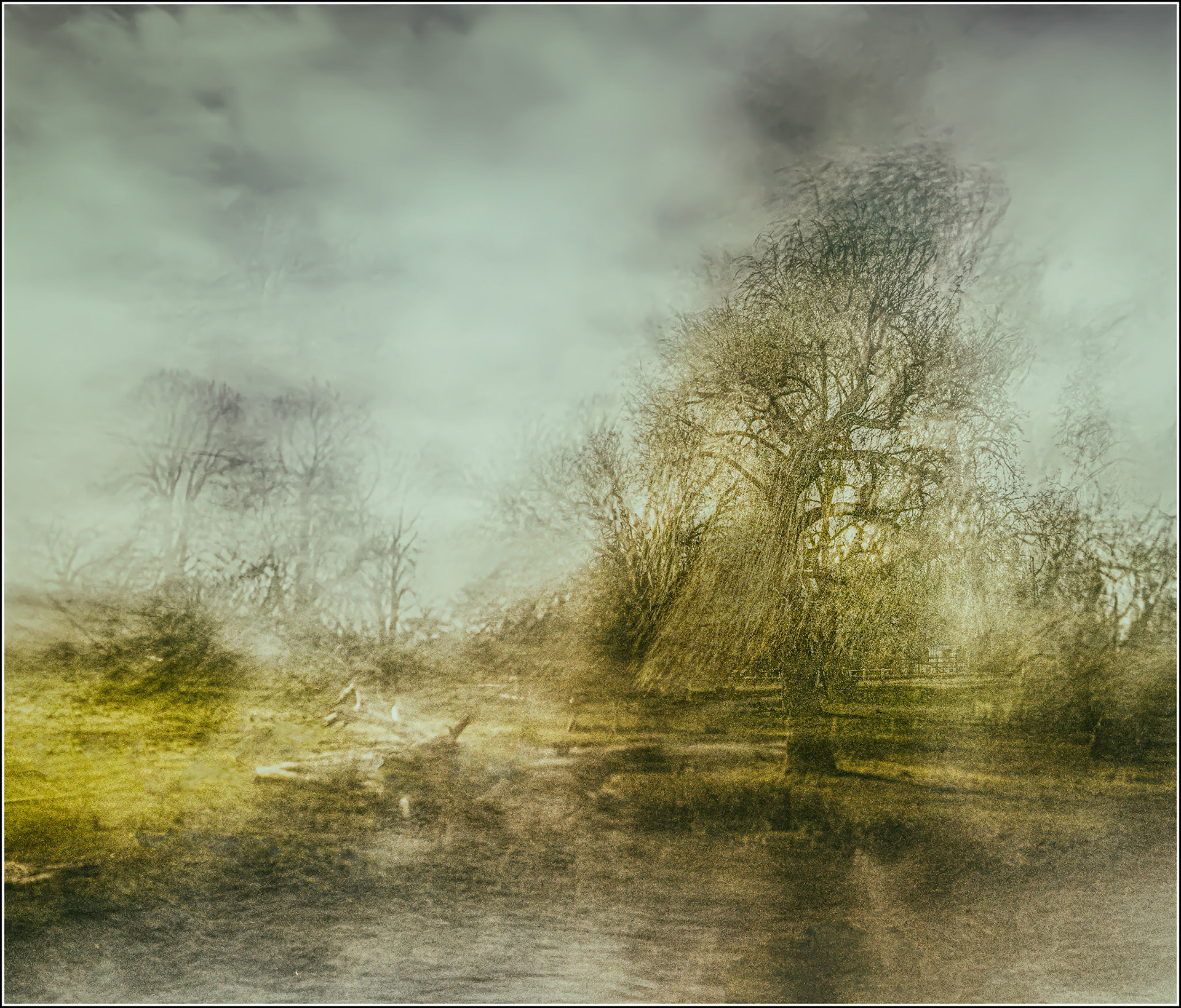 By a Quiet Stream (Print, Highly Commended)