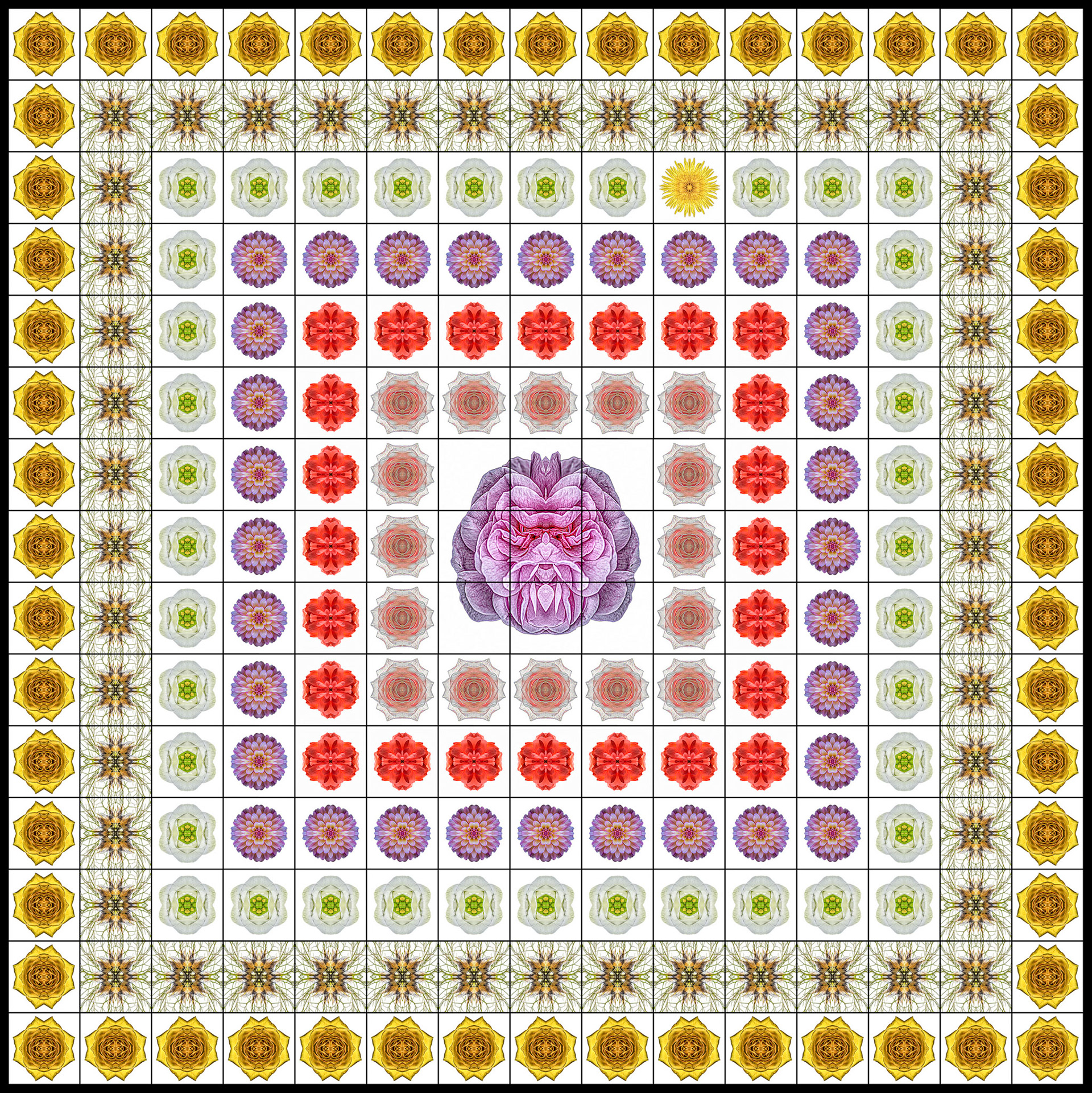 Flower Mandala (PDI, Accepted)