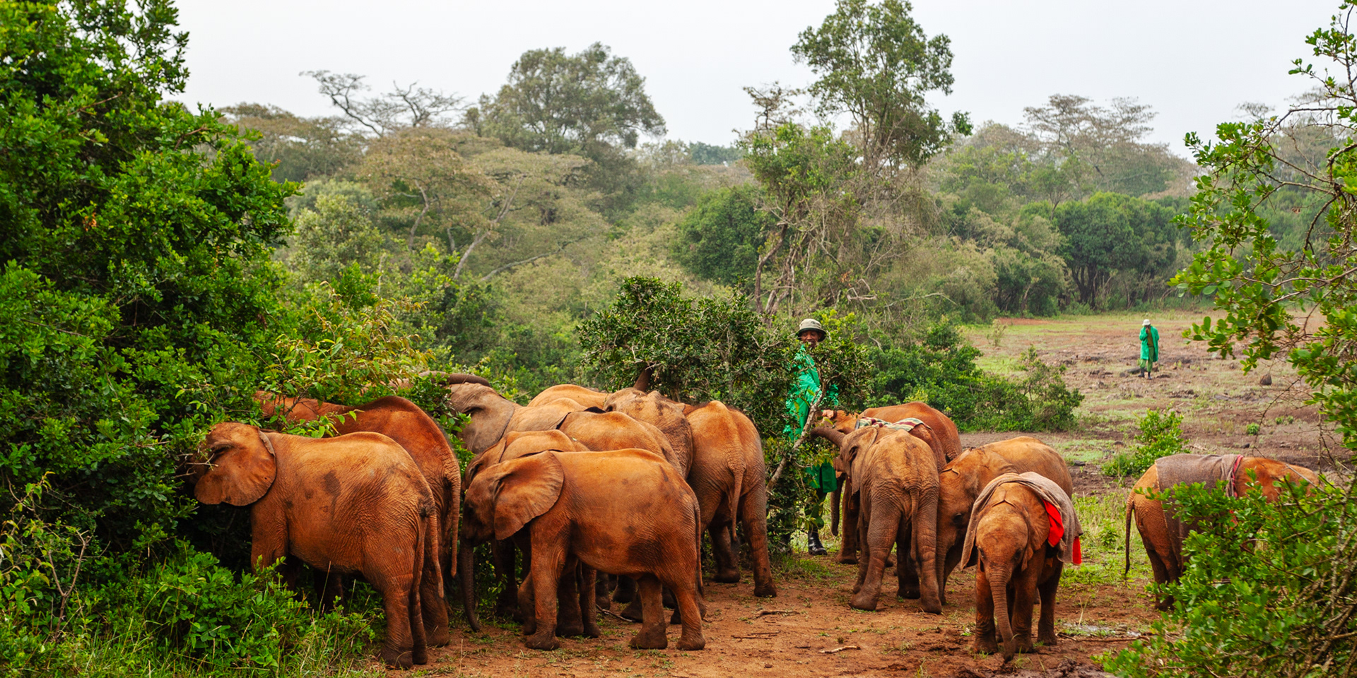Nature of Things. DSWT nursery, Nairobi 2010