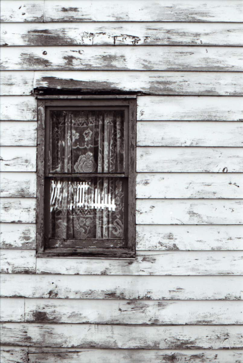 Brigus, roadside window, 2021