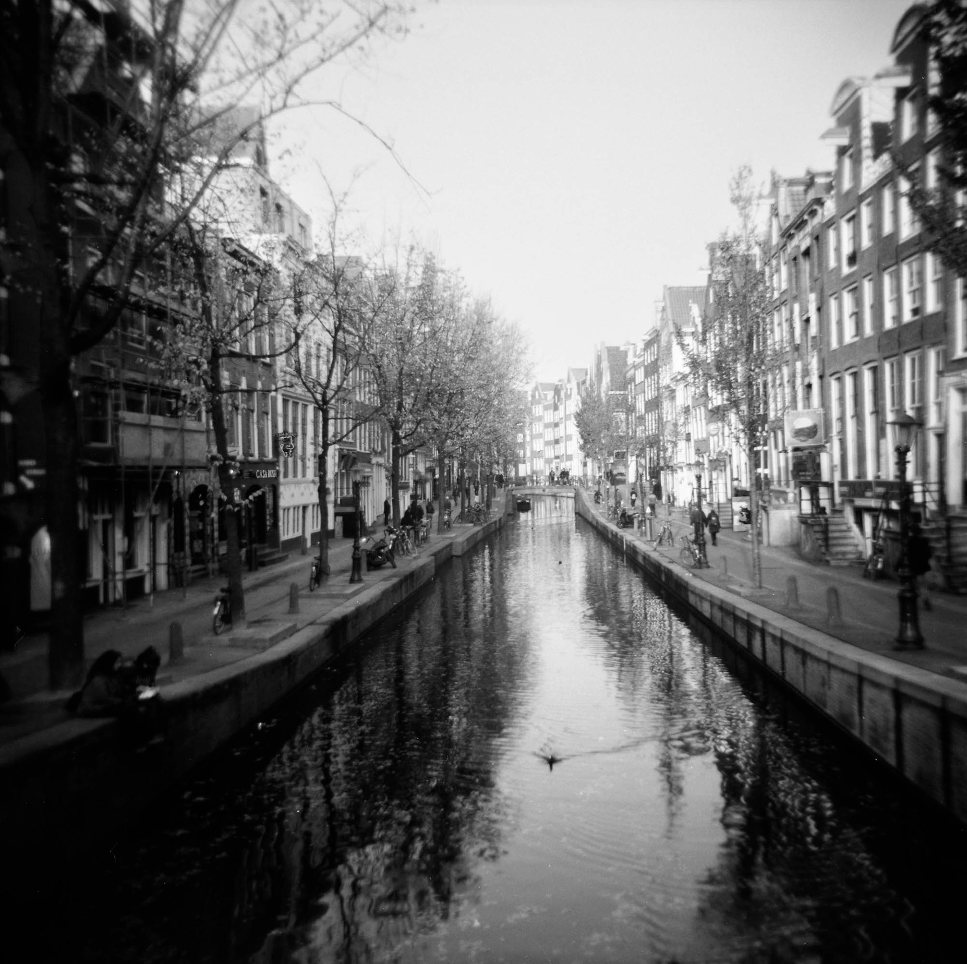 Amsterdam, 2013