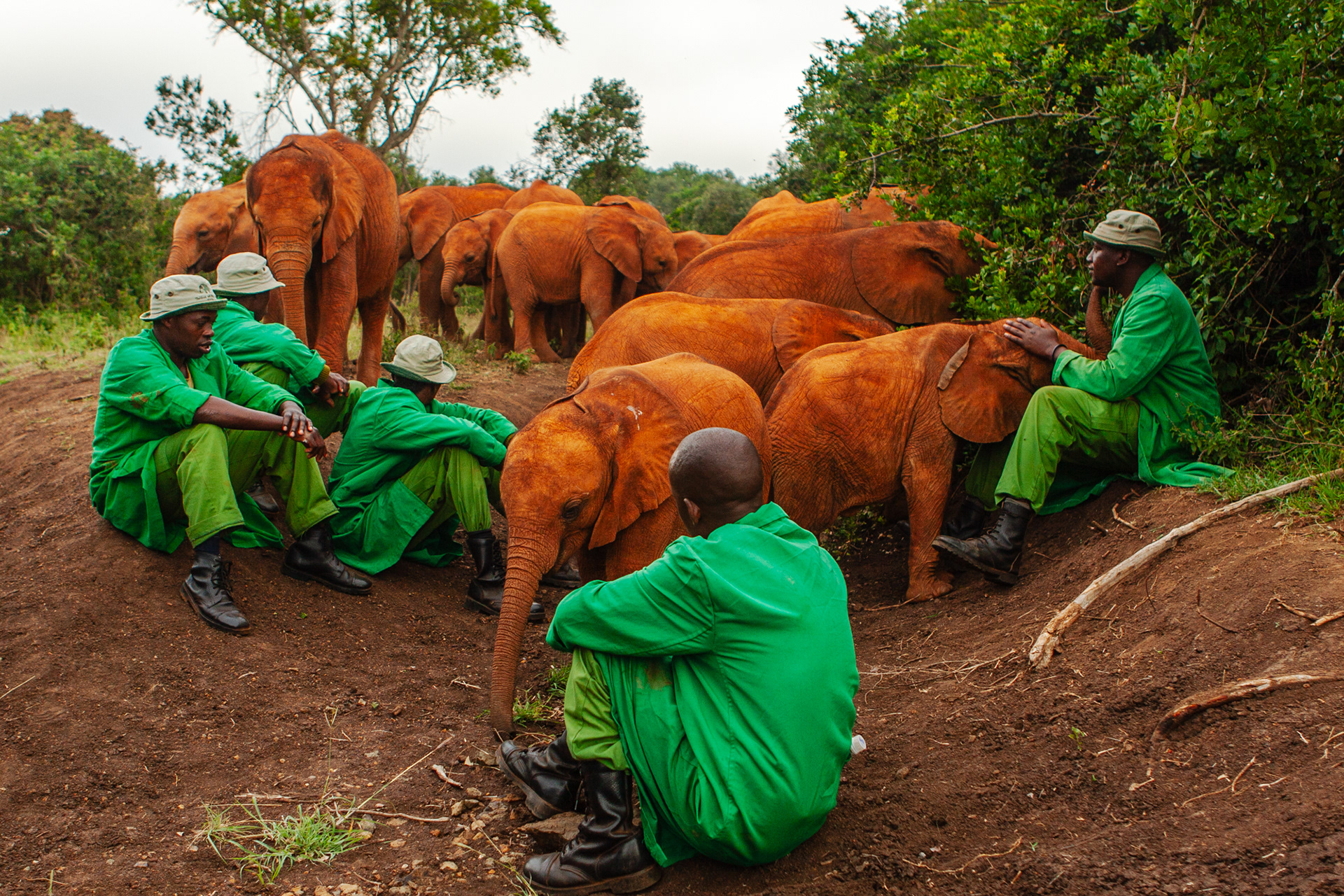 Nature of Things. DSWT nursery, Nairobi 2010
