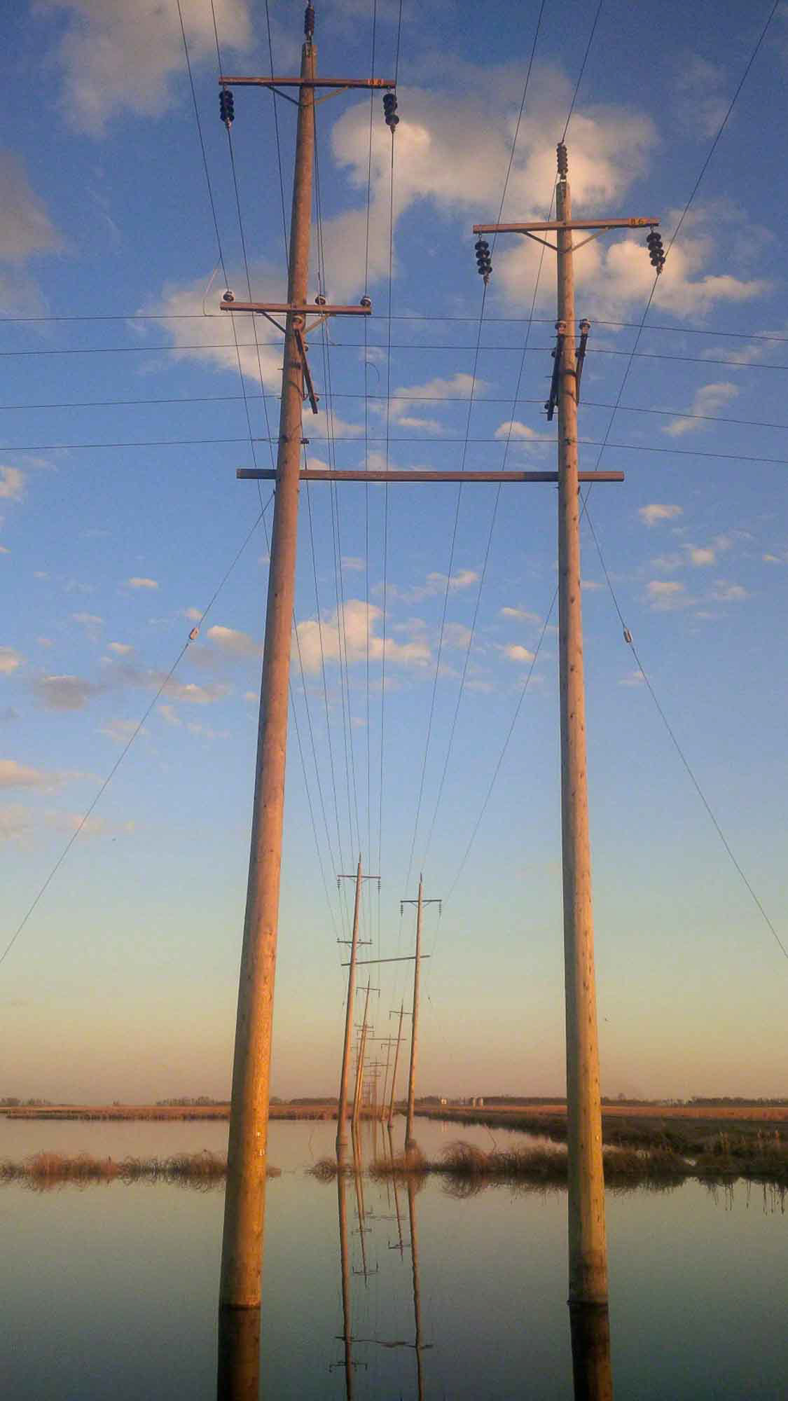 Very Good Dirt.  Hydro Lines, McConnell, Manitoba 2013