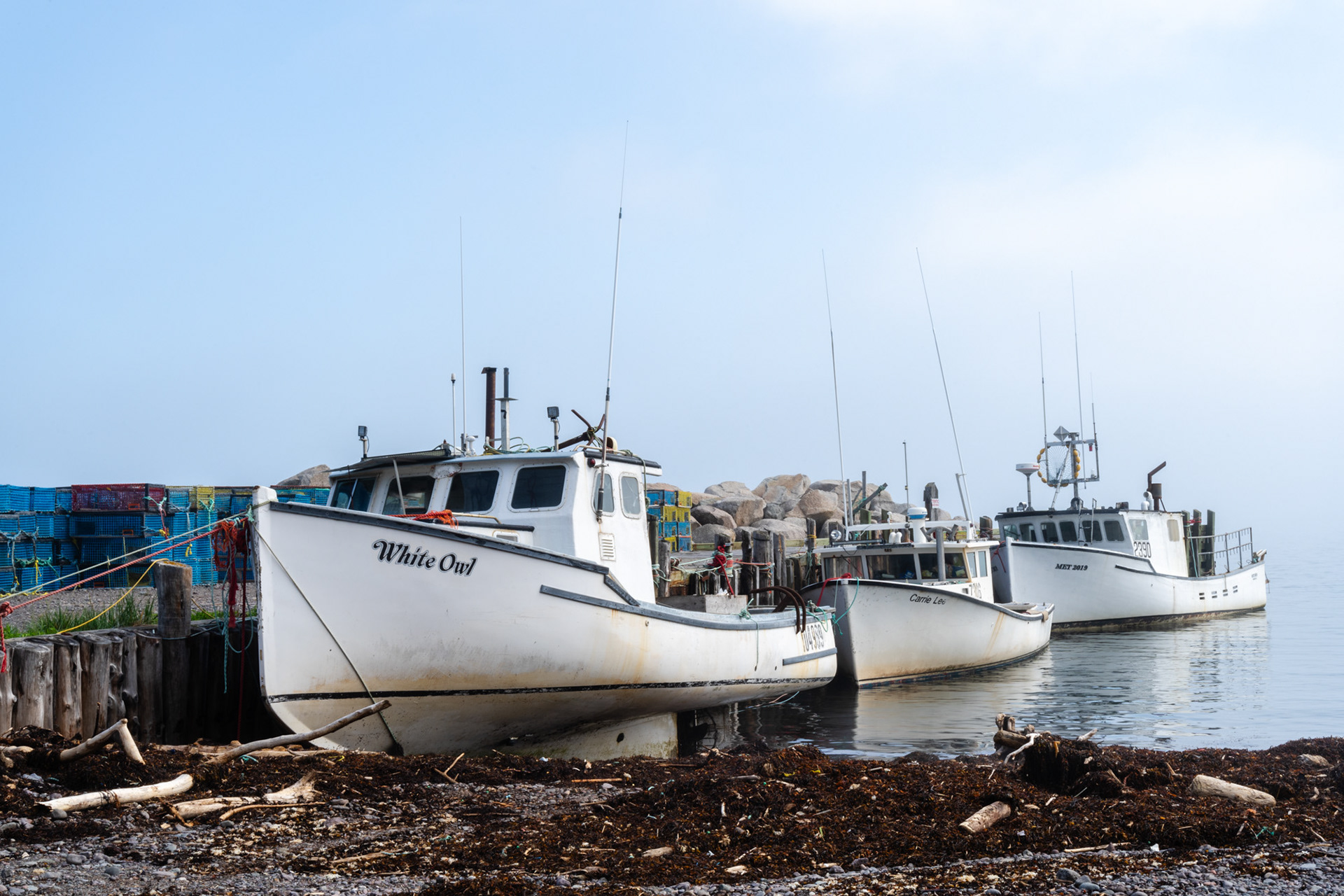 Tide leaving Margaretsville NS. 2023