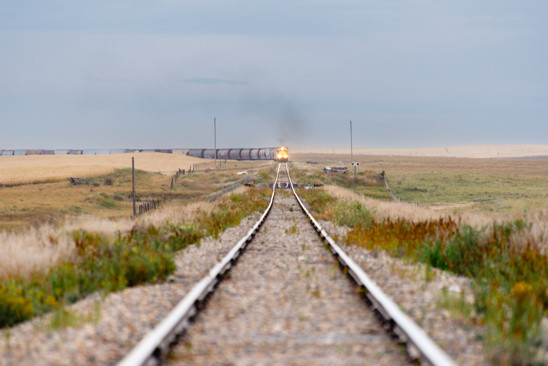 49.706022, -106.645277 September 2016