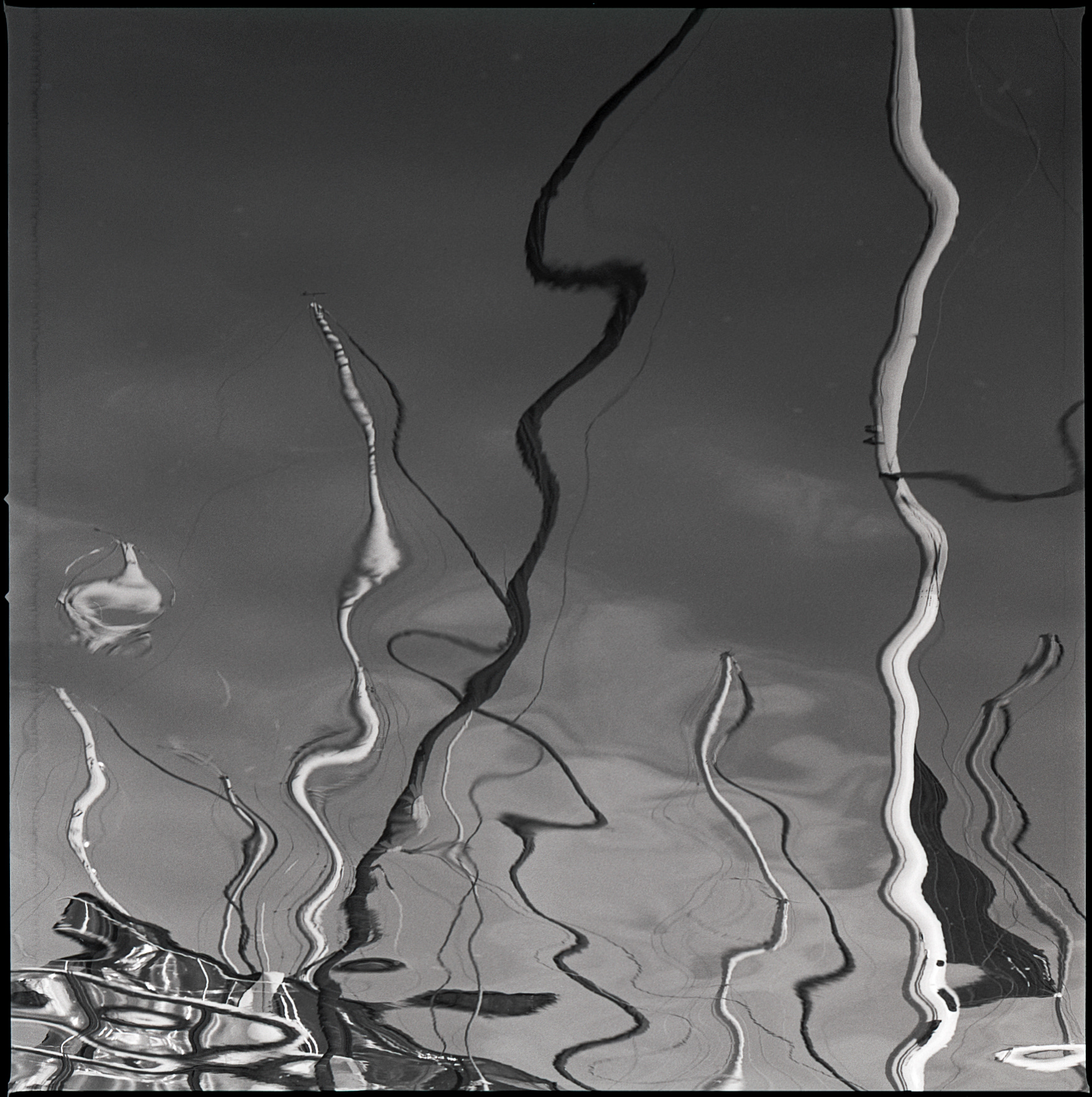 untitled analog film