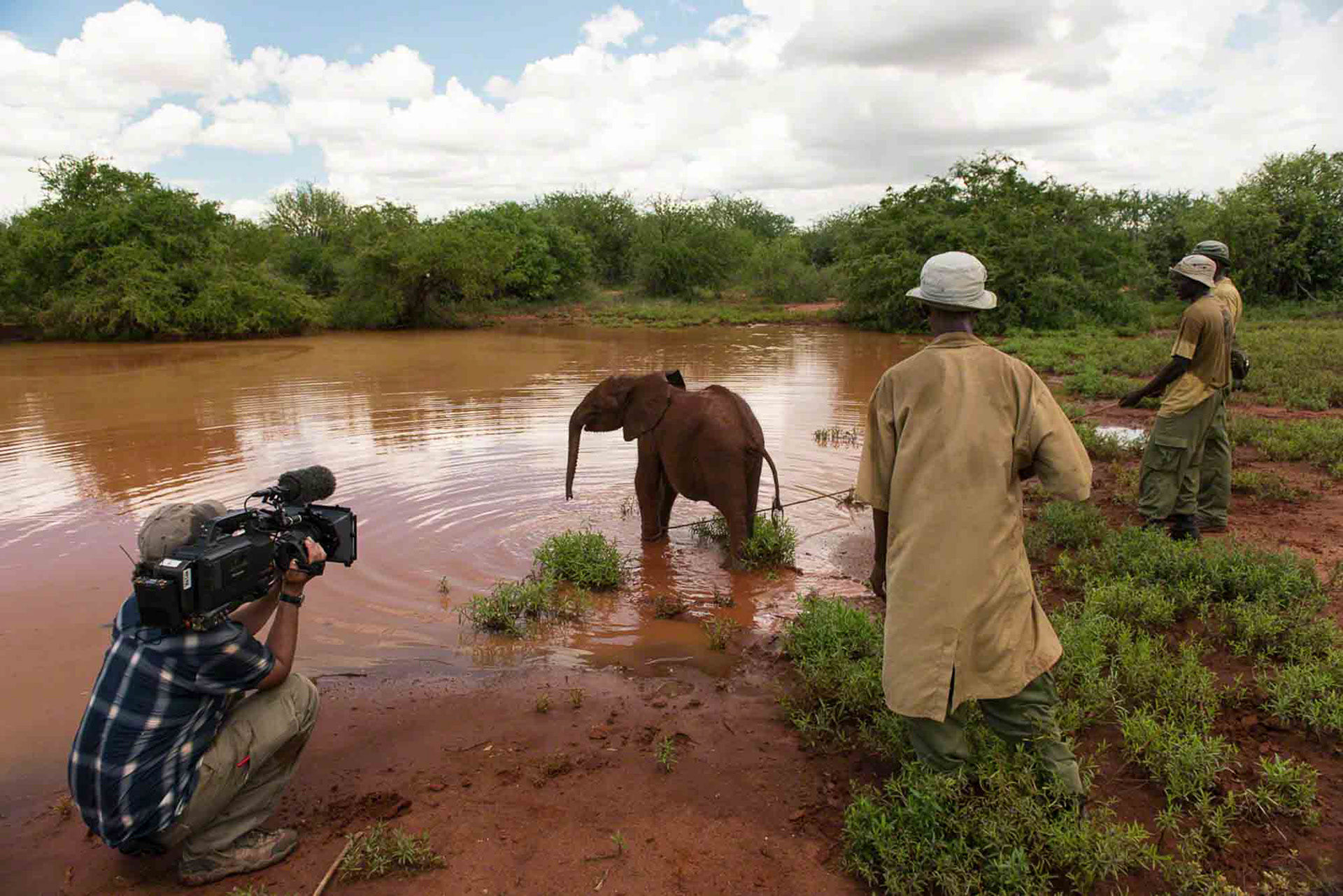 Nature of Things. Tundani rescue, Tsavo, Kenya 2013
