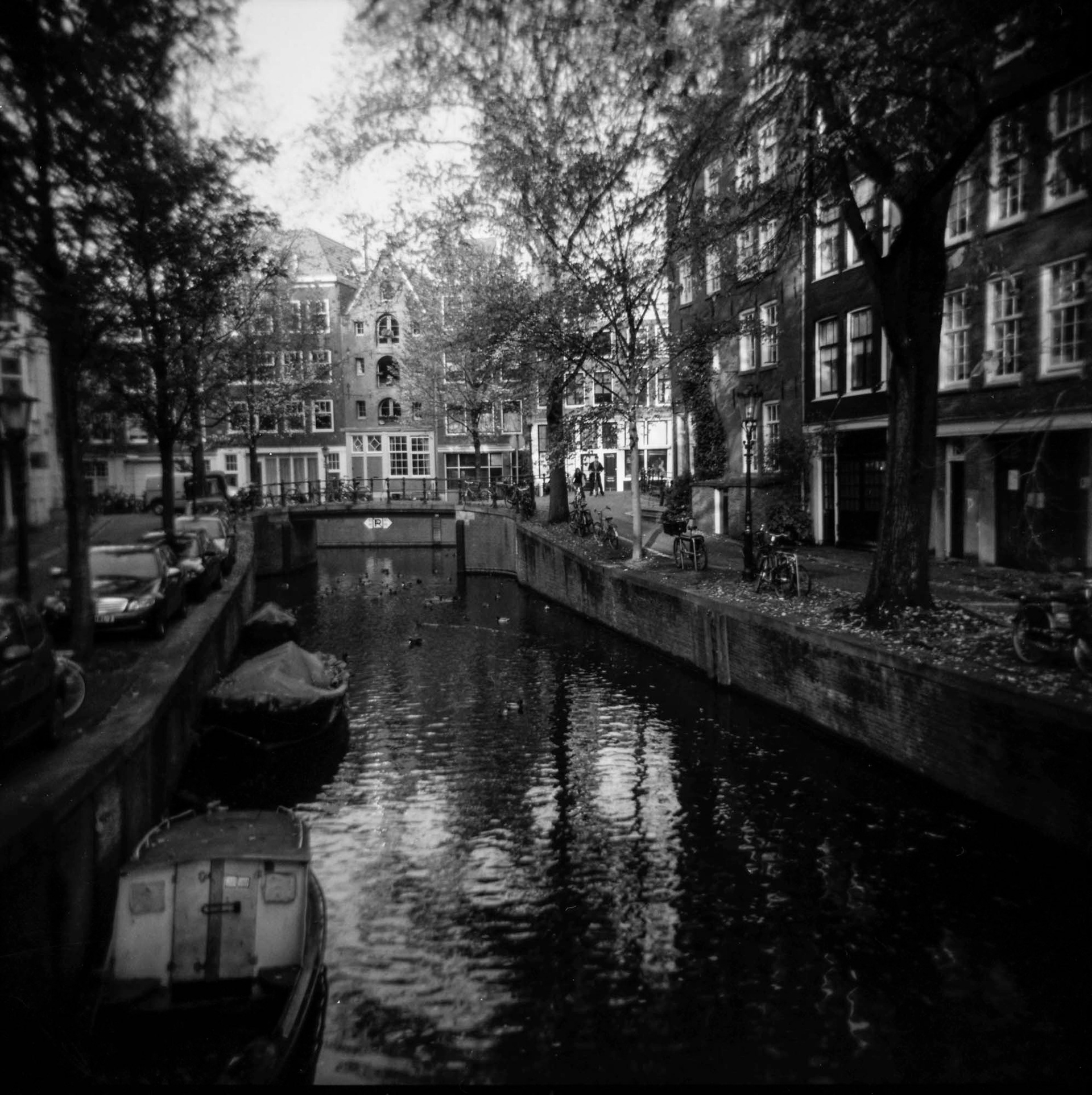 Amsterdam, 2013