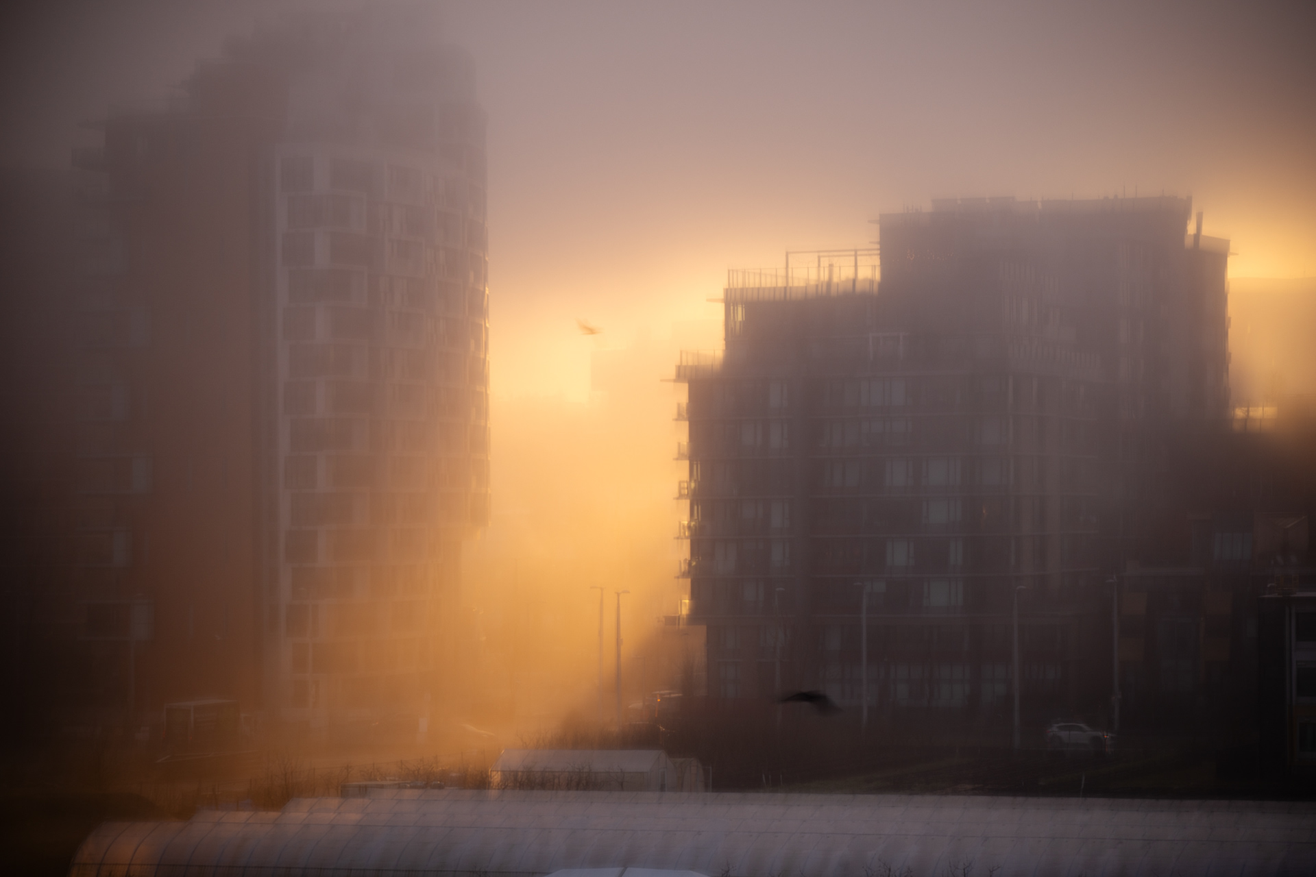Olympic Village sun and fog
