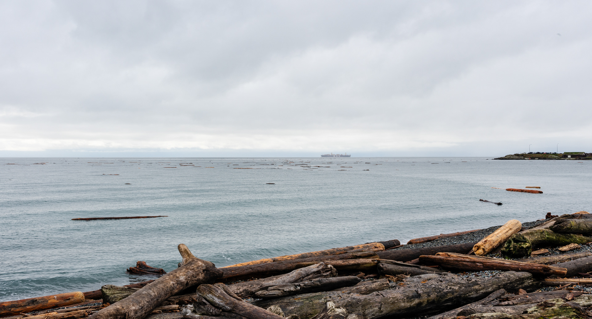 Log boom debris Ross Bay, Victoria December 2024
