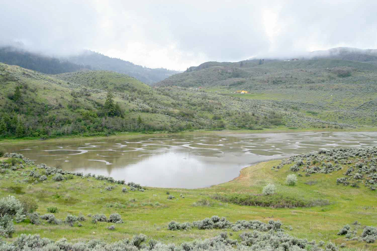 "Kilkuk" Spotted Lake. May 26, 2006