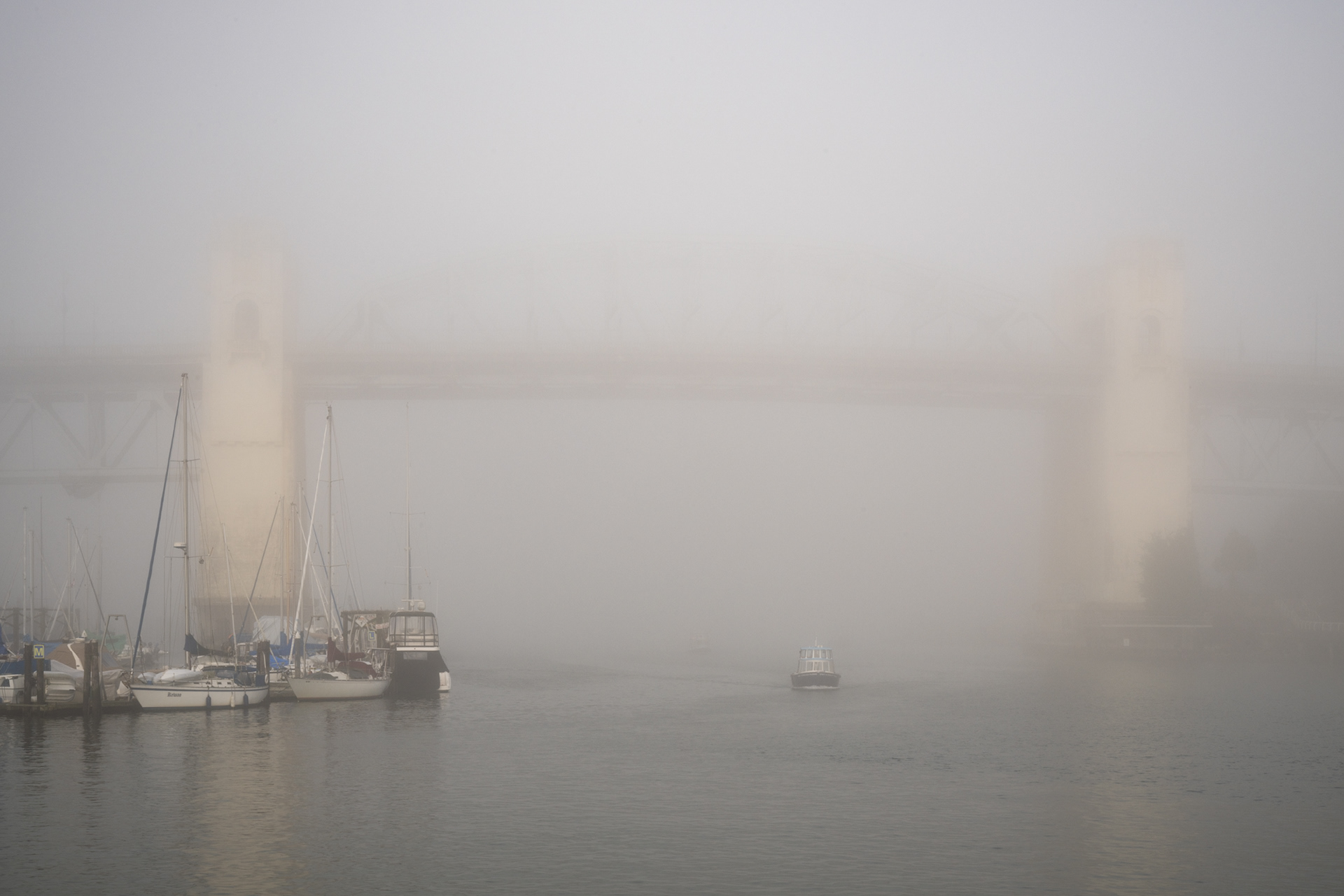 Fog approaching False Creek  2026