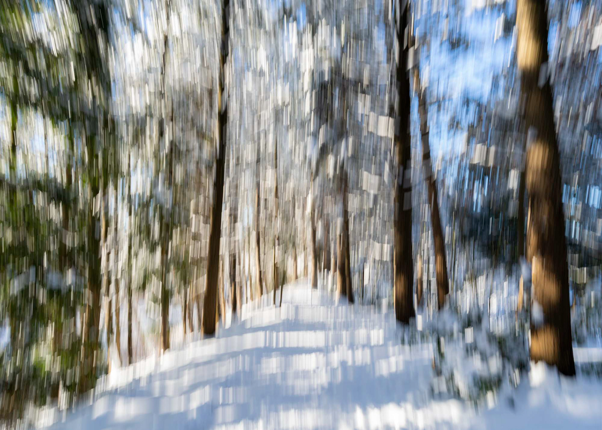 Charleson Park Vancouver BC