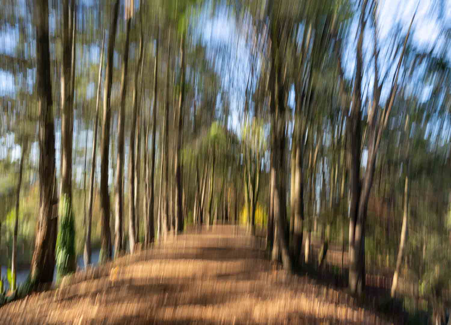 Charleson Park Vancouver BC