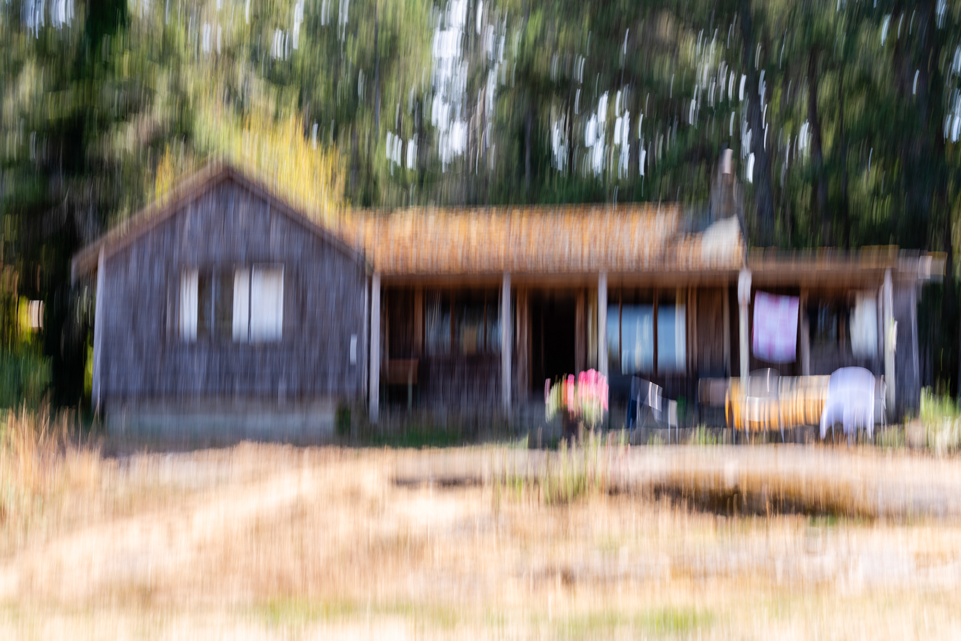 Two Coves Vancouver Island