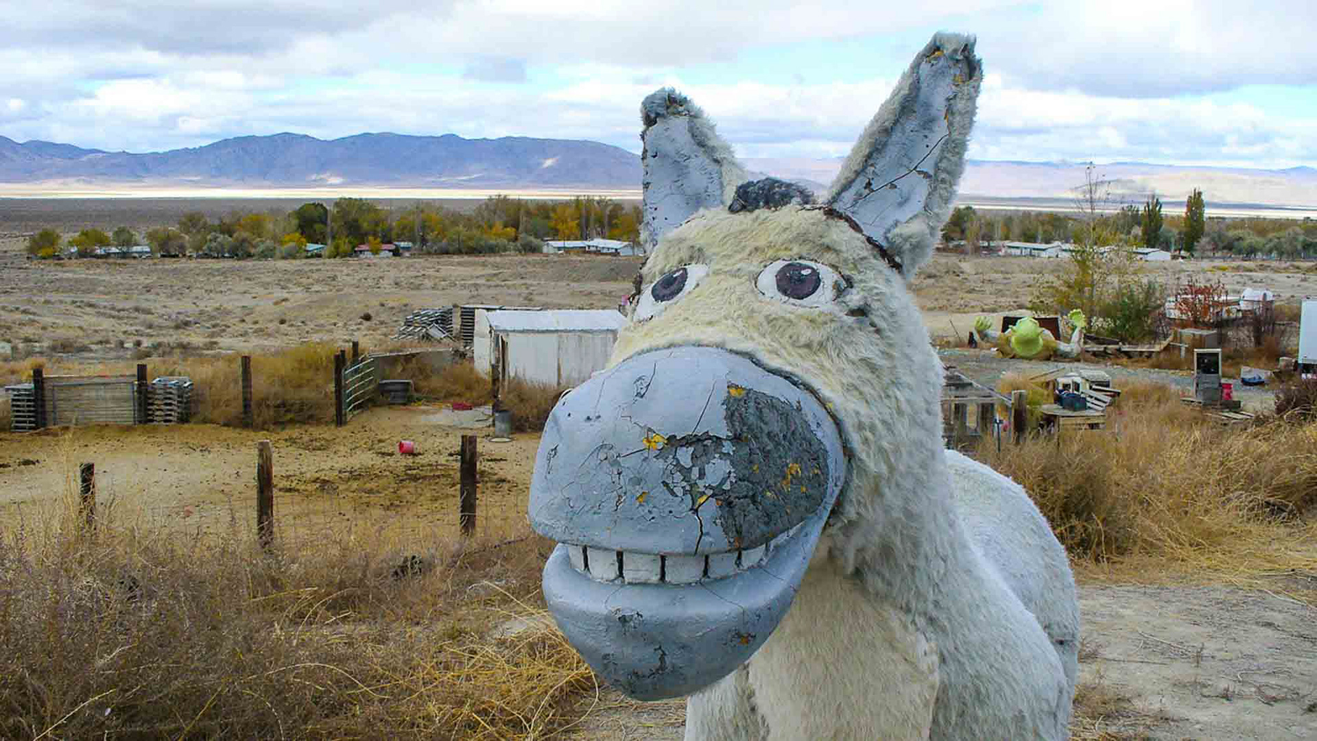 Donkey and Shrek, Empire, Nevada 2007