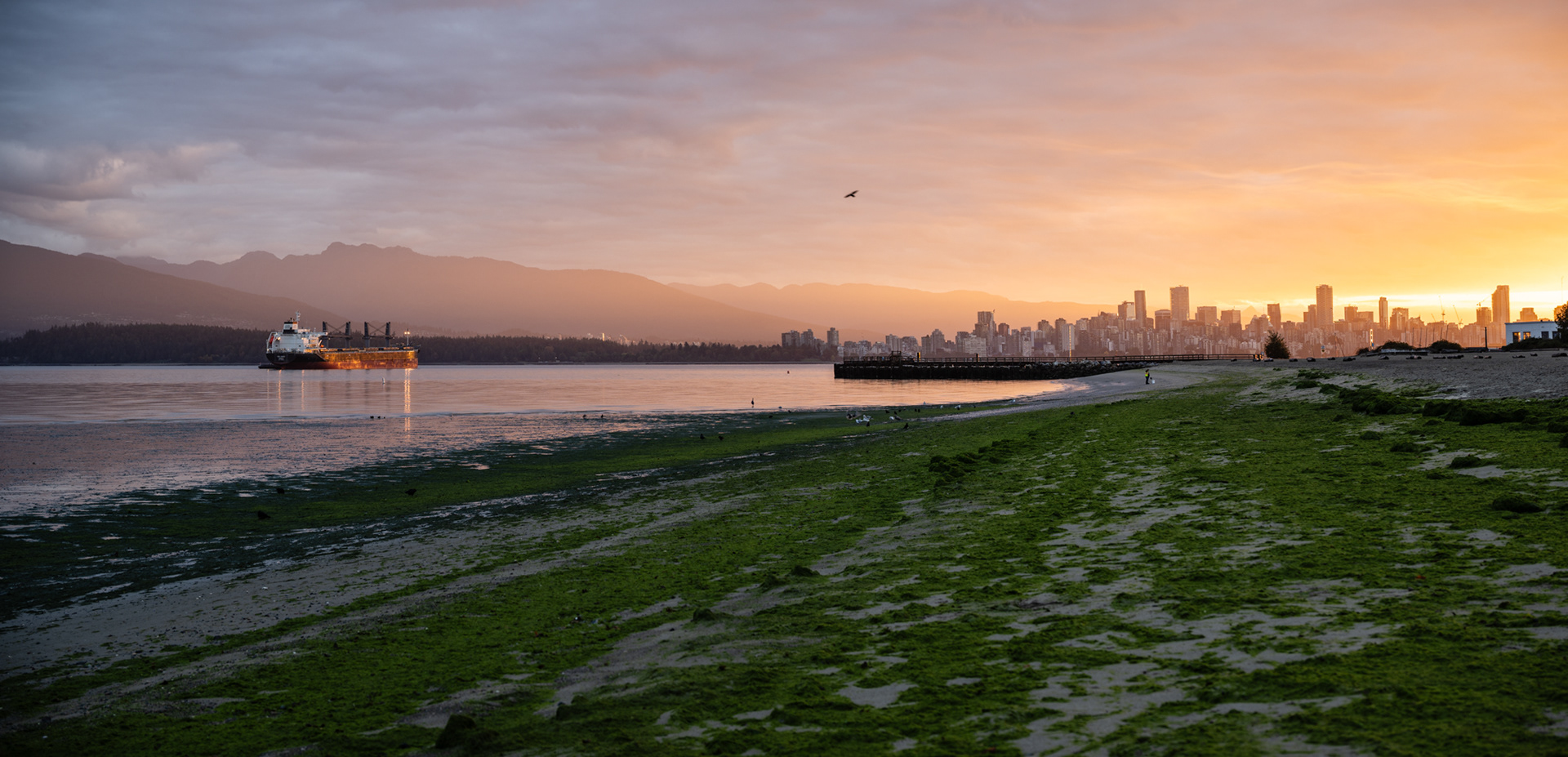 Jericho Beach  2025