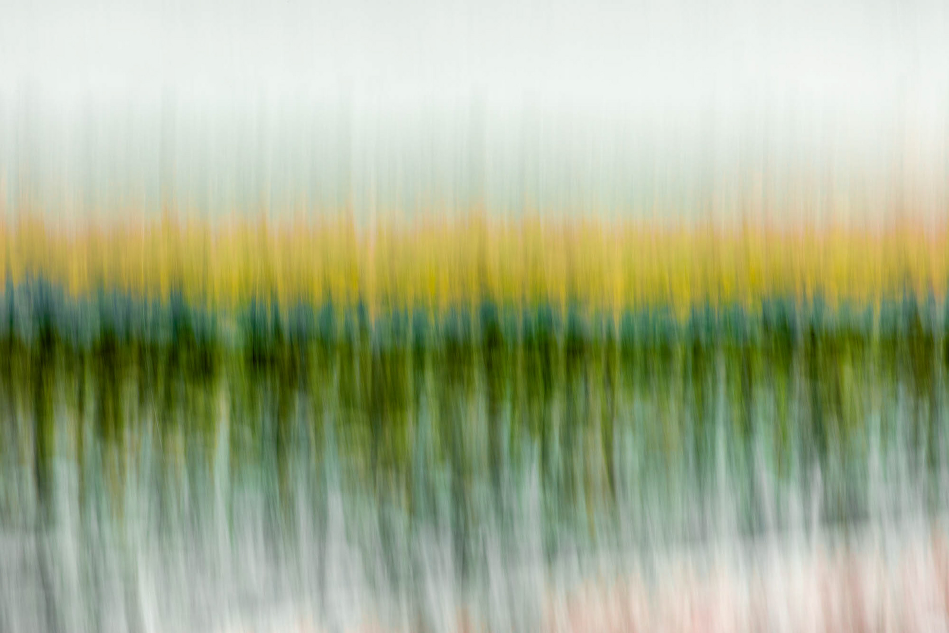 Jericho Beach Vancouver BC