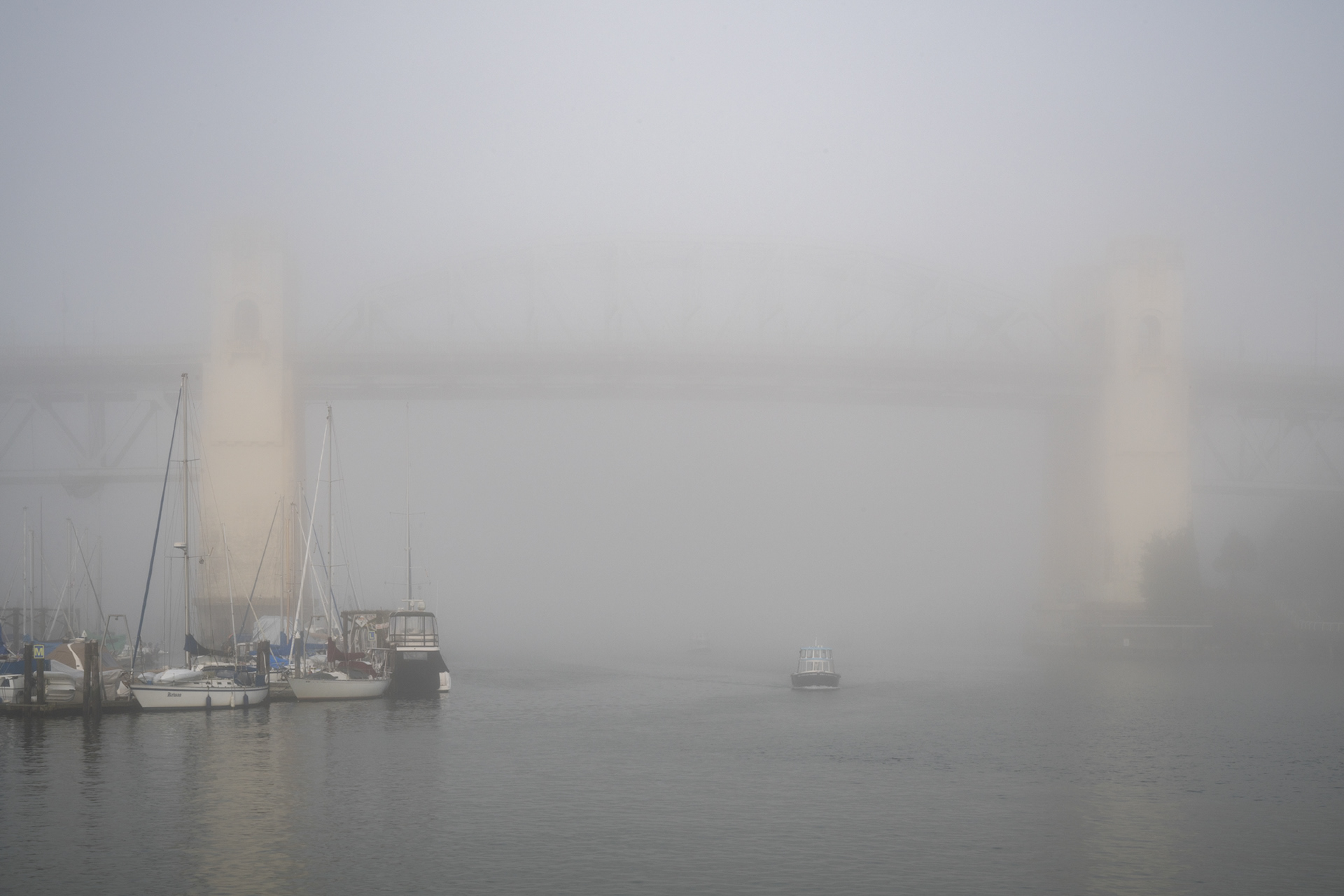 Fog approaching False Creek  2026
