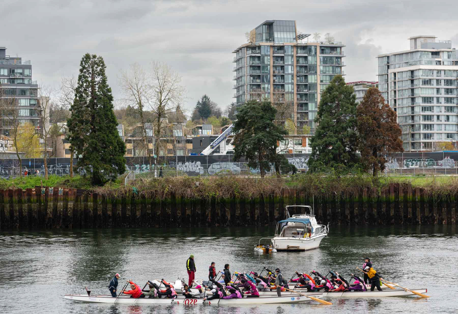 Dragon boats, False Creek Vancouver BC. April 23, 2023