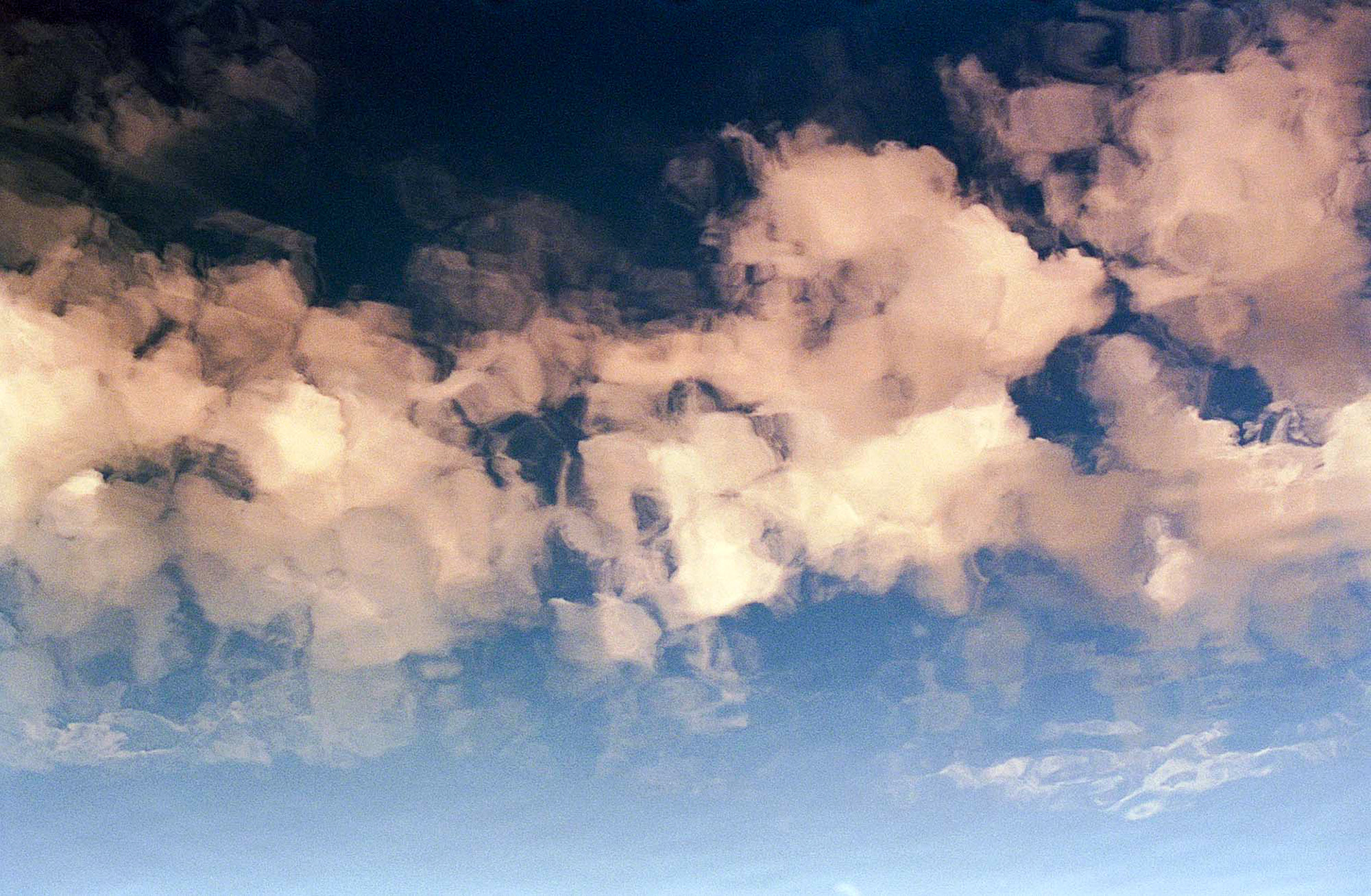 untitled analog film 