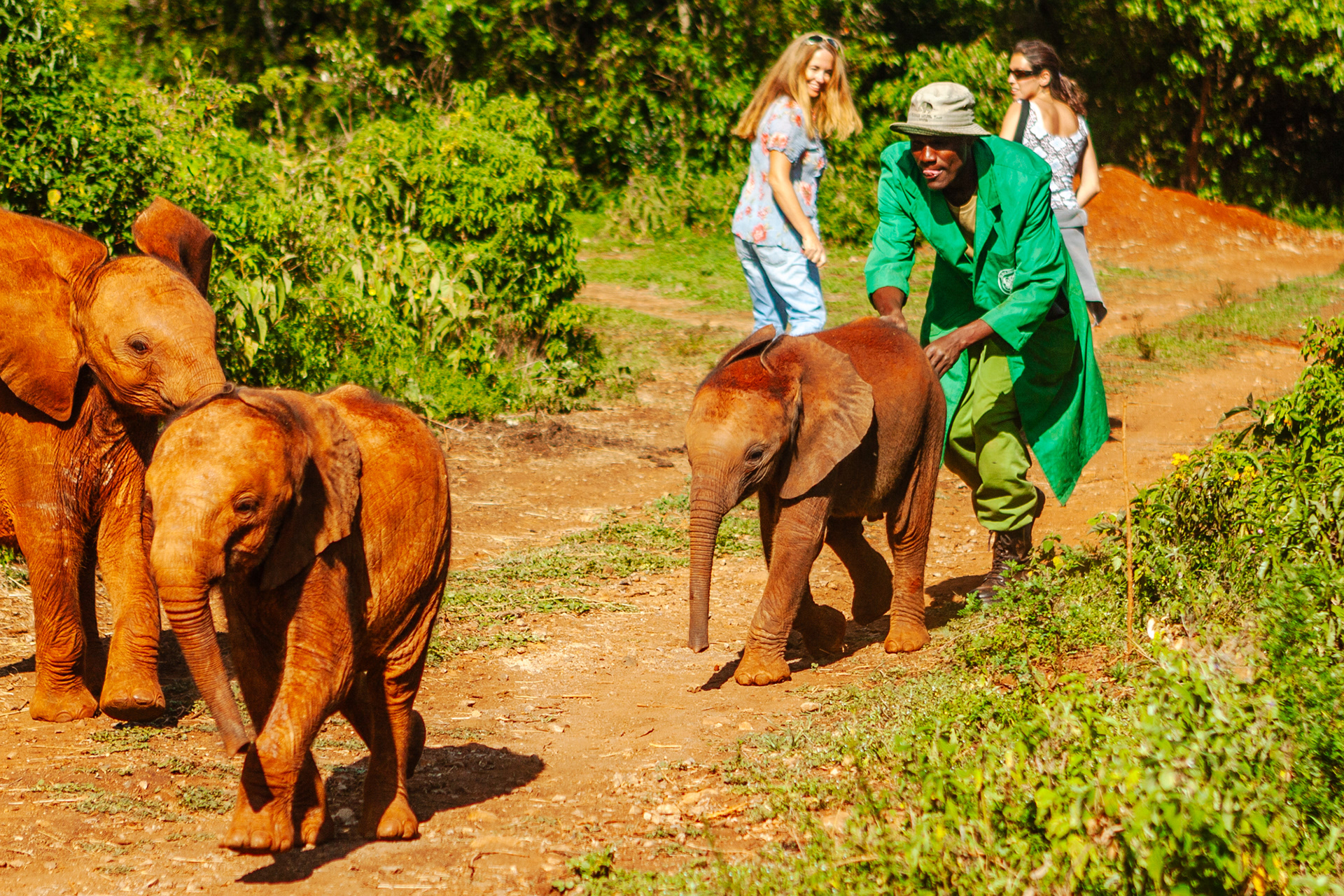 Nature of Things. DSWT nursery, Nairobi 2010