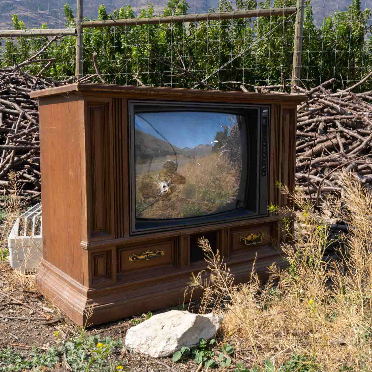 TV shot. Barcello Rd. Cawston BC. 2022