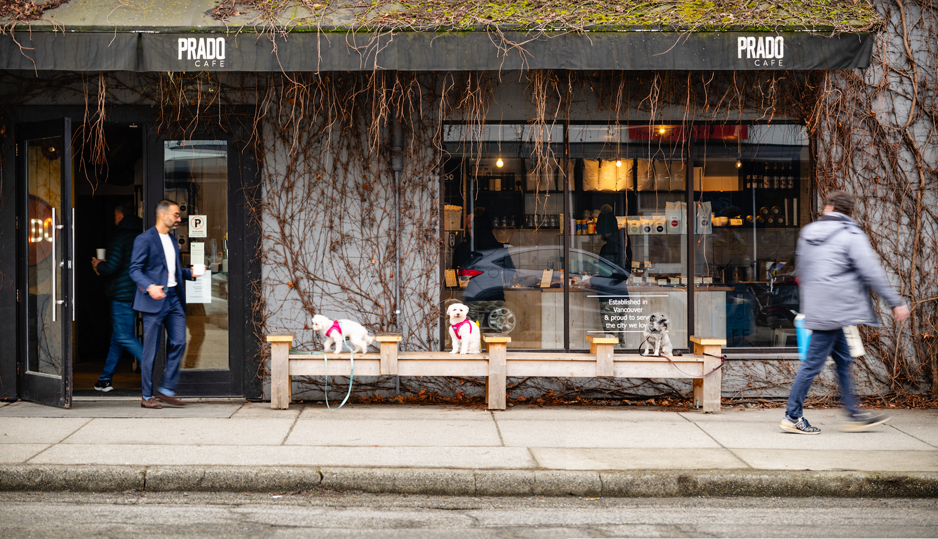 breaking the fourth wall