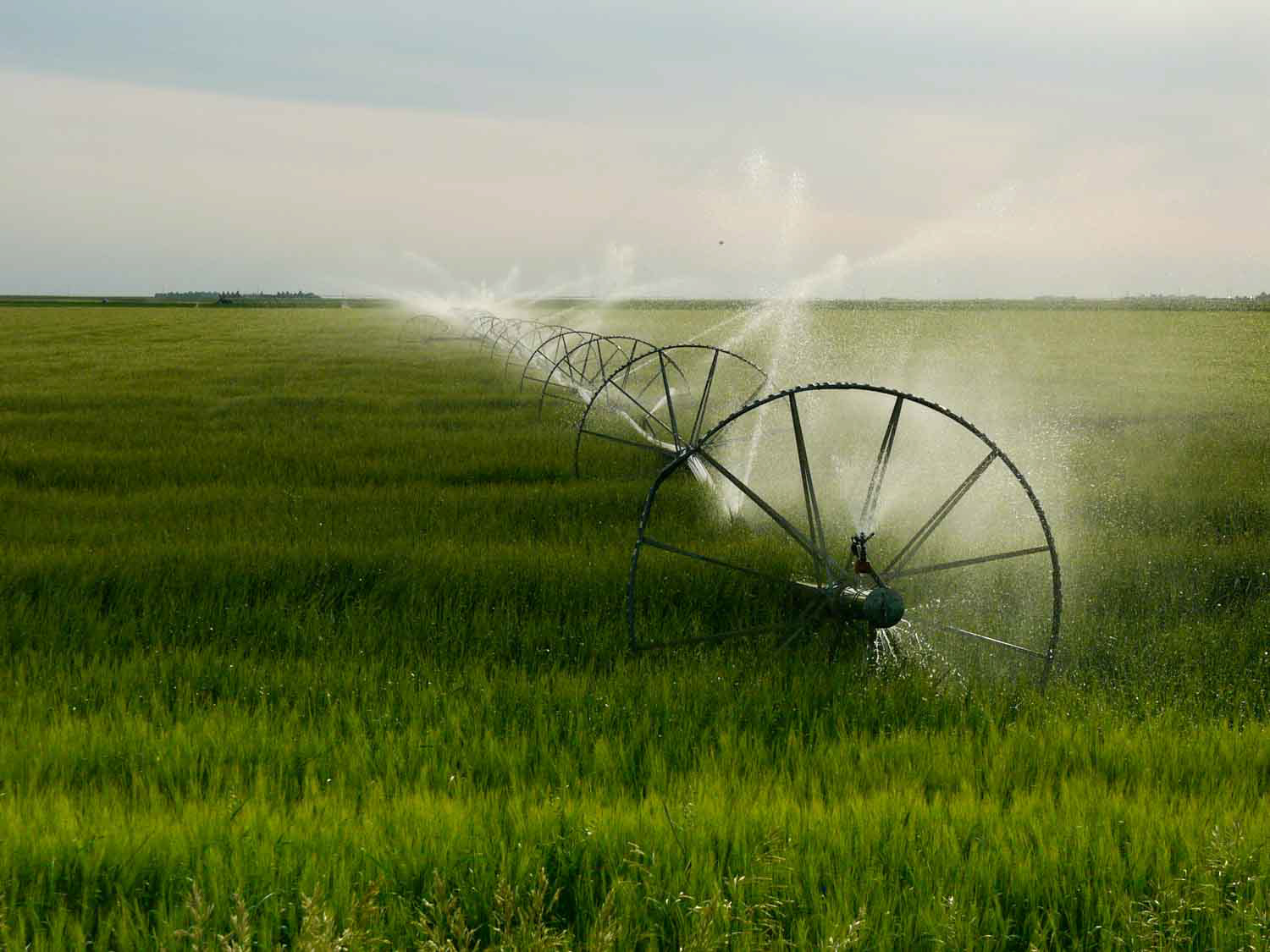  irrigation, roadside Alberta  2006 