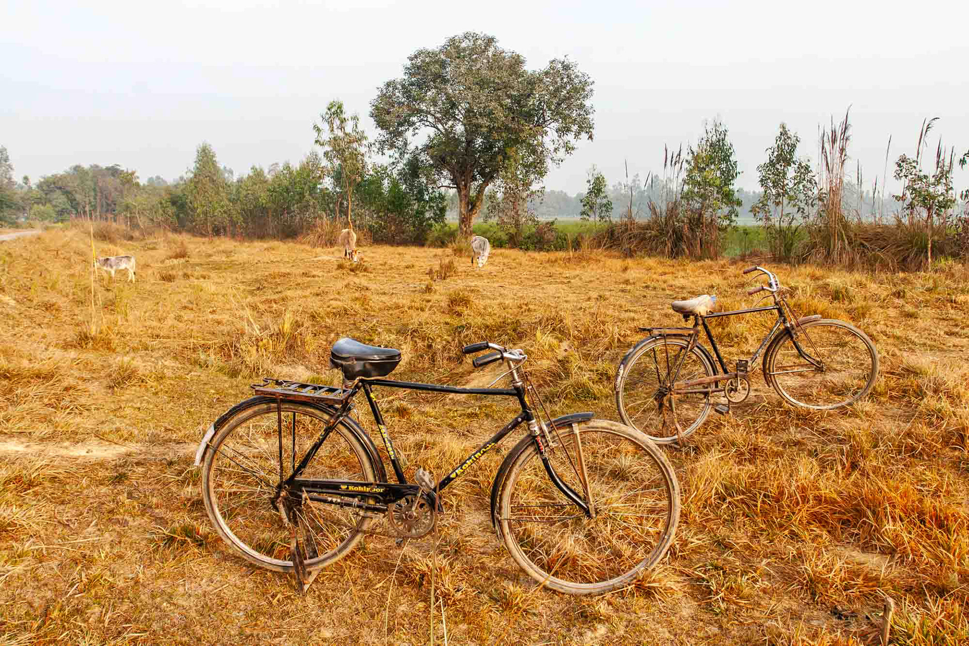 Carbon Hunters. India 2009